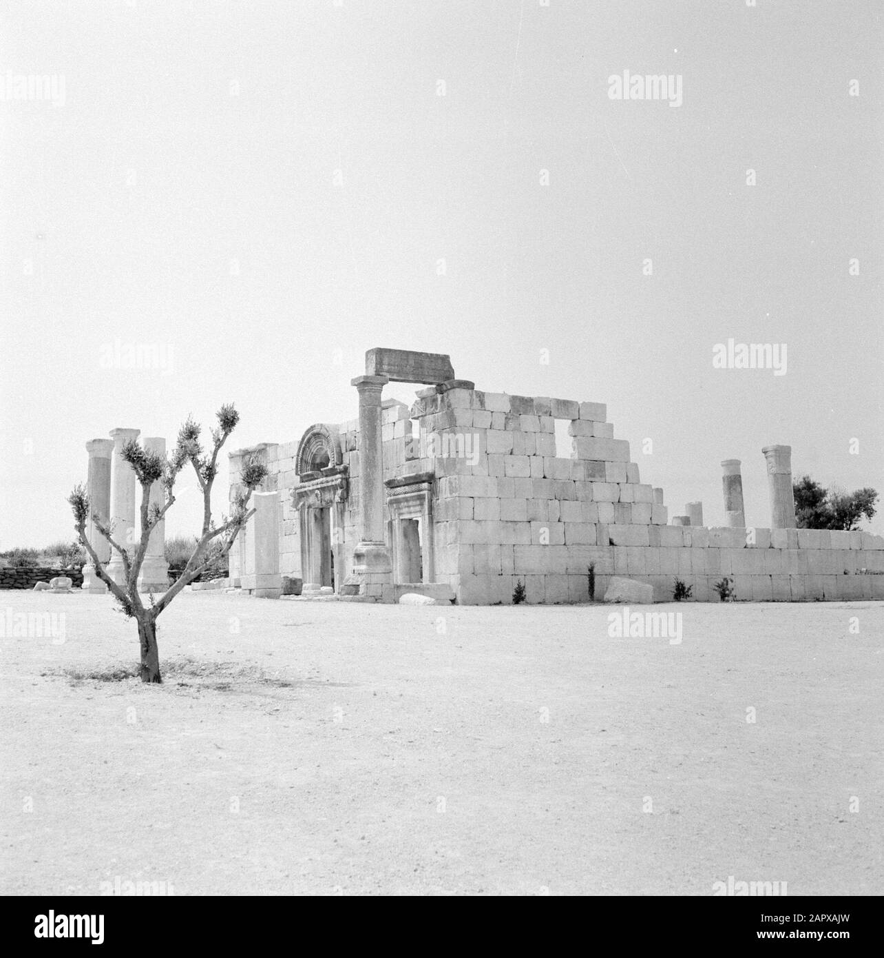 Israel 1964-1965: Bar'am, ruin synagogue  Ruins of the ancient synagogue in Kfar Bar'am Annotation: Bar'am is a kibbutz in northern Israel, located about 300 meters from the border with Lebanon. Bar'am National Park is known for the remains of one of Israel's oldest synagogues Date: 1964 Location: Bar'am, Israel Keywords: archeology, sculptures, trees, ruins, synagogues Stock Photo