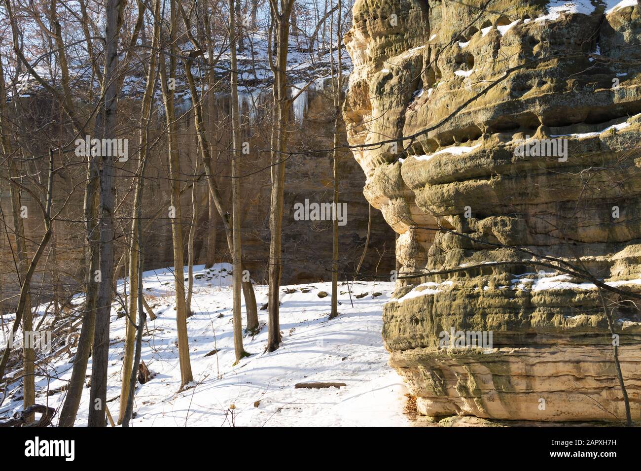 Canyon walls at Council Overhang on a beautiful January morning