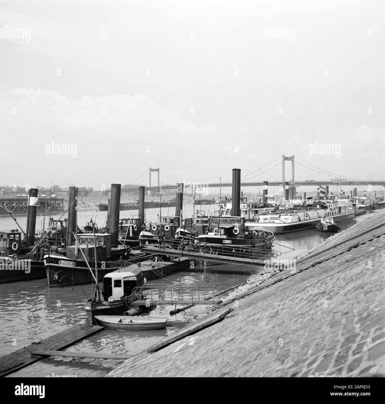 Rhine navigation, report from tugboat Damco 9: West Germany  Steamtugs docked in the port of Duisburg-Ruhrort including the towlers Damco, Rhein, Ruhr and Pioneer Date: April 1, 1955 Location: Duisburg, Germany, West Germany Keywords: ports, tugs, steamships Stock Photo
