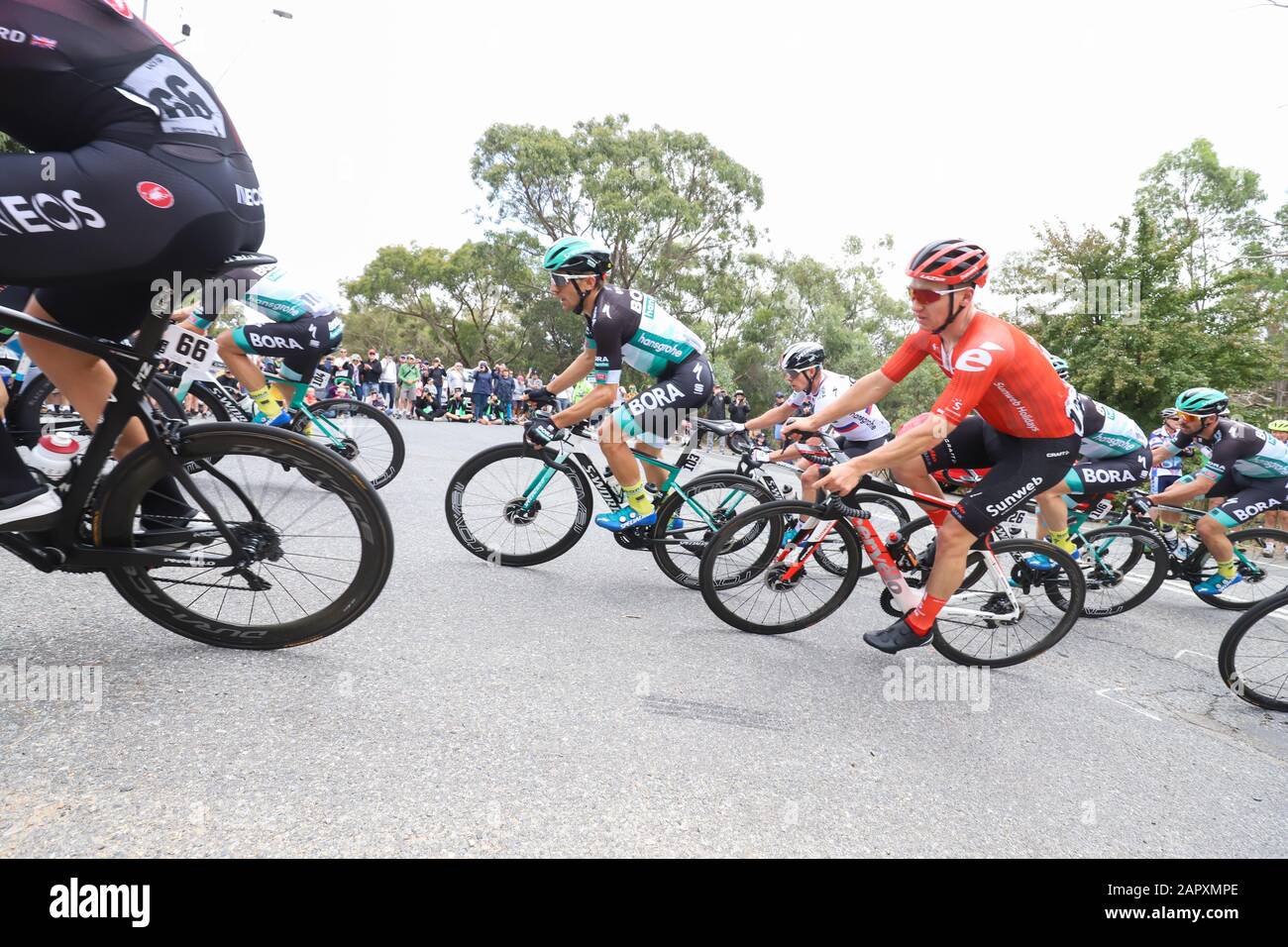 Riders competing on Stage 3 of the 2020 Tour Down Under cycling race