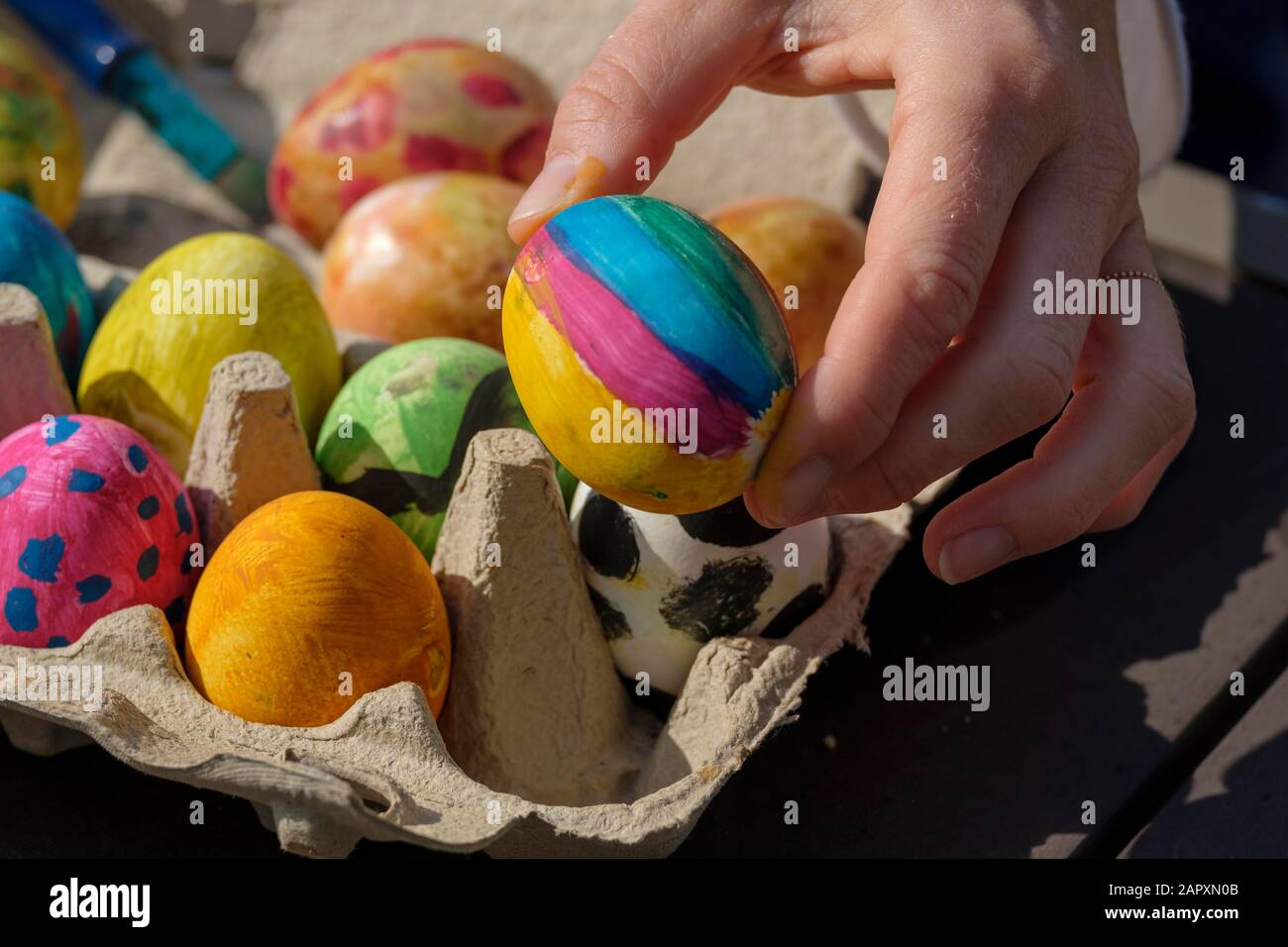 Painted easter eggs in an egg box, painting easter eggs, Bavaria, Germany Stock Photo