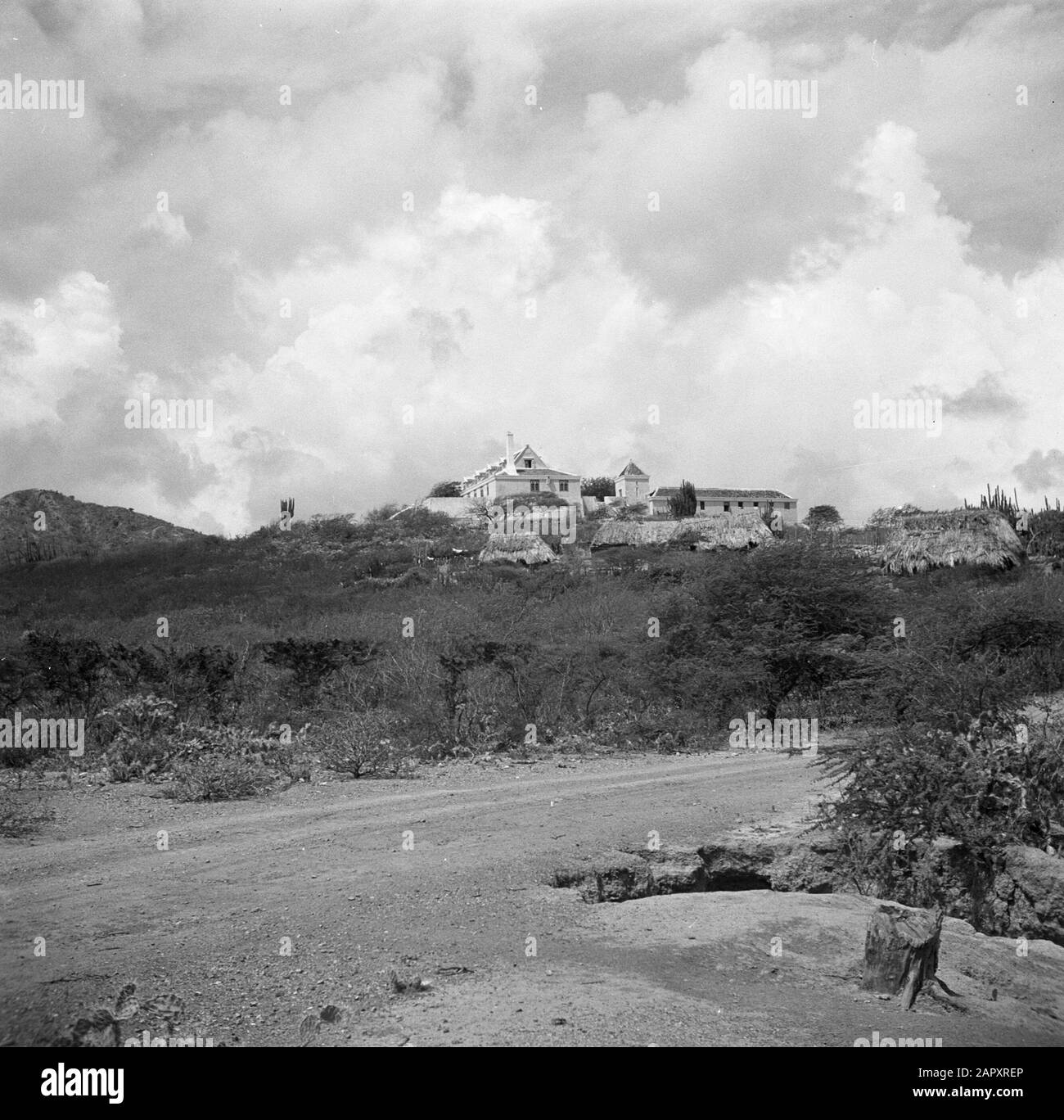 Journey to Suriname and the Netherlands Antilles  View in Curaçao with in the distance country house Cut Date: 1947 Location: Curaçao Keywords: country houses, landscapes Stock Photo