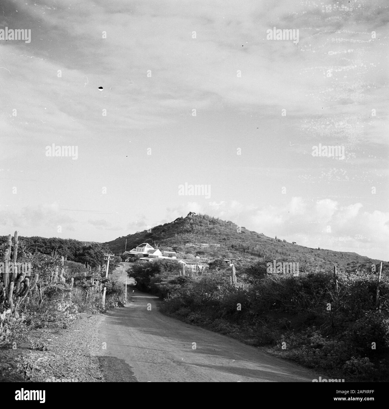 Journey to Suriname and the Netherlands Antilles  View with manor Brakkeput on Curaçao Date: 1947 Location: Curaçao Keywords: country houses, landscapes Stock Photo