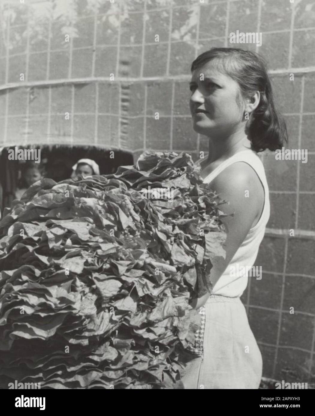 Fotocollectie hi-res stock photography and images - Page 2 - Alamy, image size:1051x1390