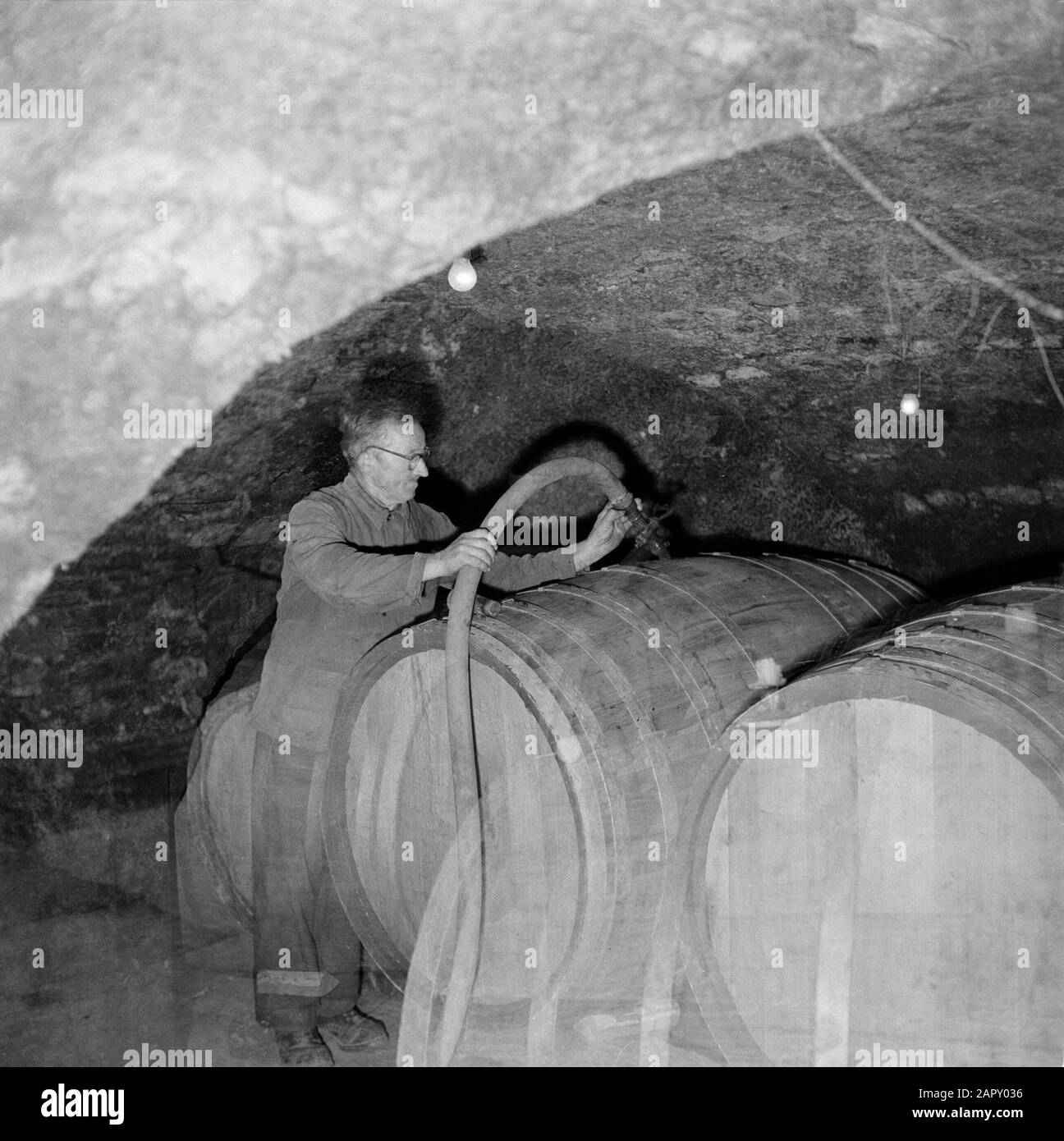 Germany wine cellar Black and White Stock Photos & Images Alamy