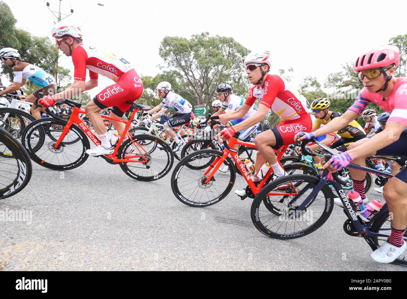 Riders competing on Stage 3 of the 2020 Tour Down Under cycling race