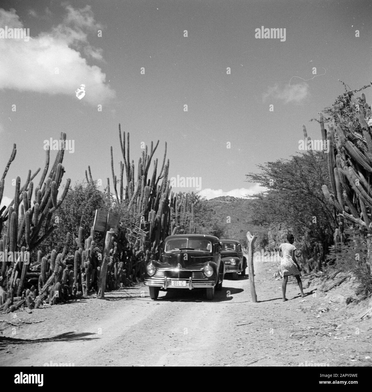 Travel to Suriname and the Netherlands Antilles  Road on Curaçao at country house Cut with roadblock Date: 1947 Location: Curaçao Keywords: cars, landscapes, roads Stock Photo