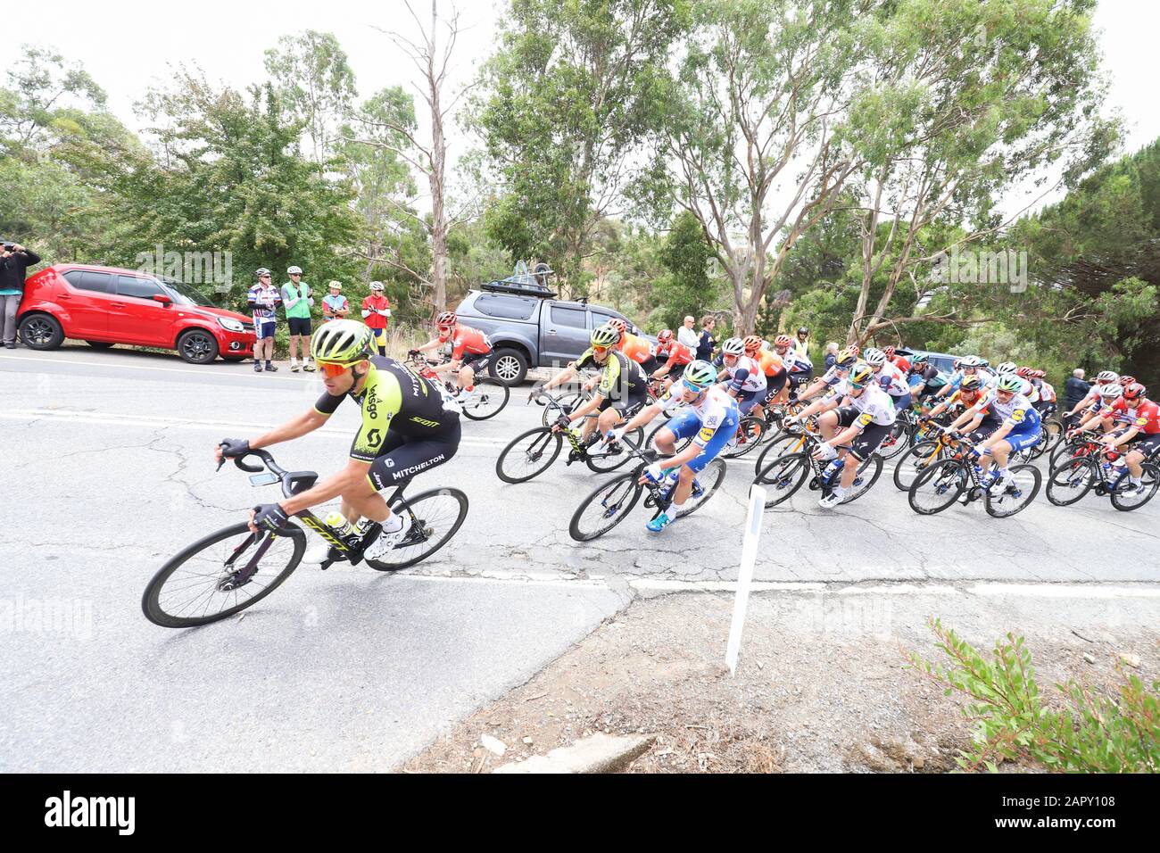 Riders competing on Stage 3 of the 2020 Tour Down Under cycling race