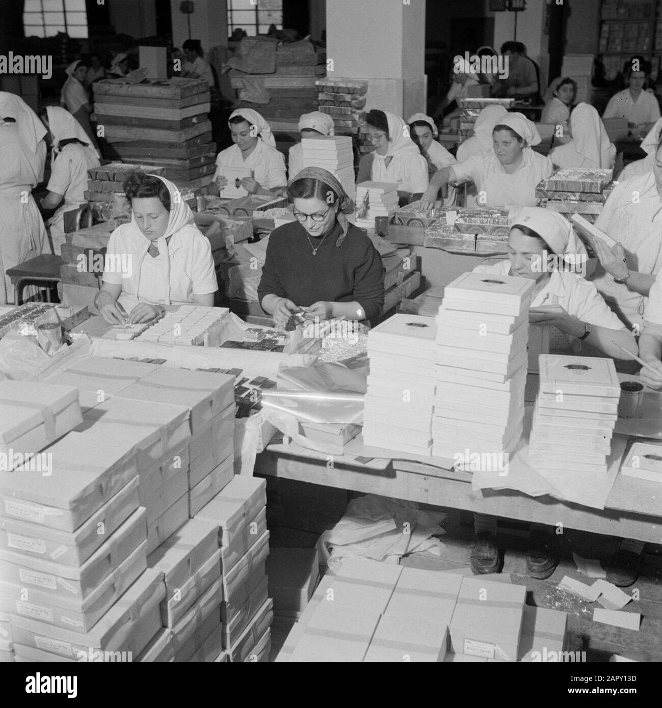 Israel 19481949 Natanya Employees of the Elite chocolate factory