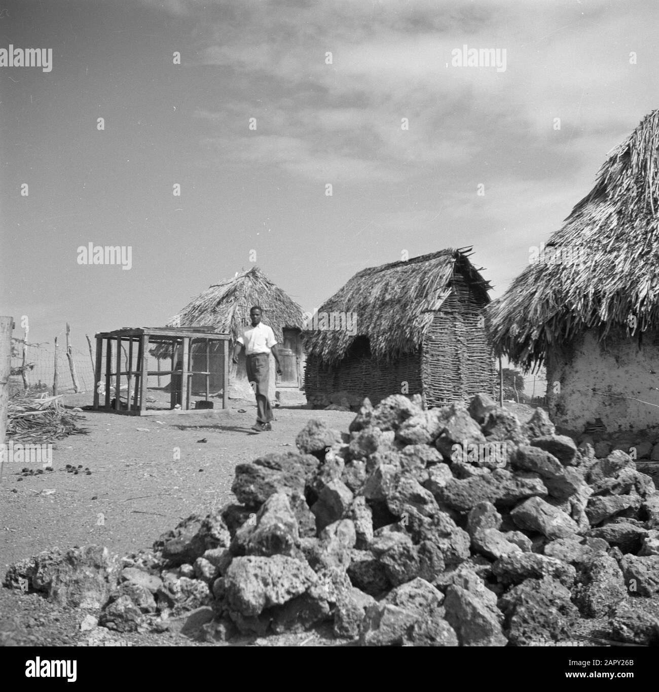 Journey to Suriname and the Netherlands Antilles  Houses and chicken coop in Saint Martha on Curaçao Date: 1947 Location: Curaçao Keywords: chickens, country houses Stock Photo