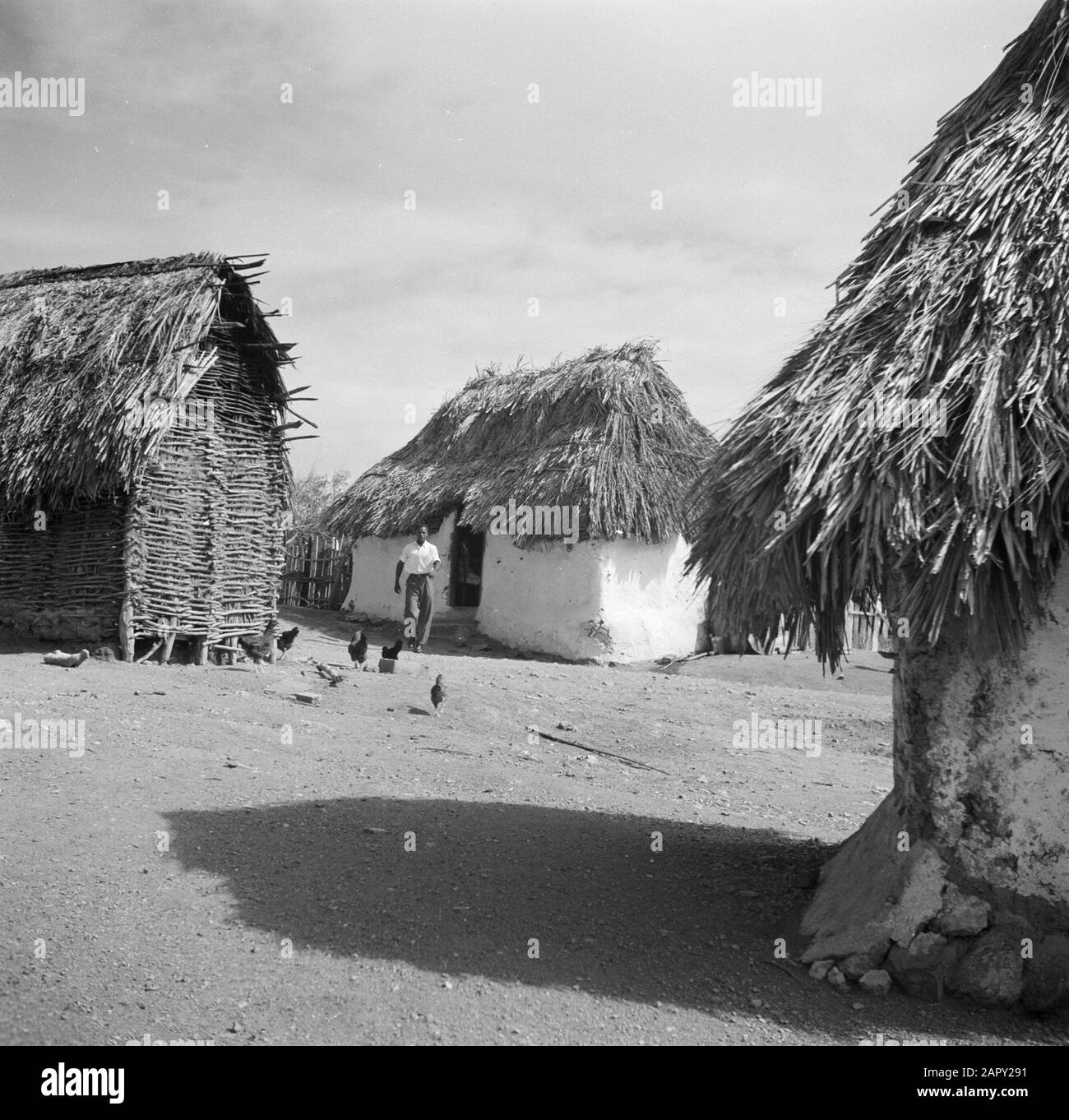 Travel to Suriname and the Netherlands Antilles  Houses including cunucu cottage in Saint Martha on Curaçao Date: 1947 Location: Curaçao Keywords: country houses Stock Photo