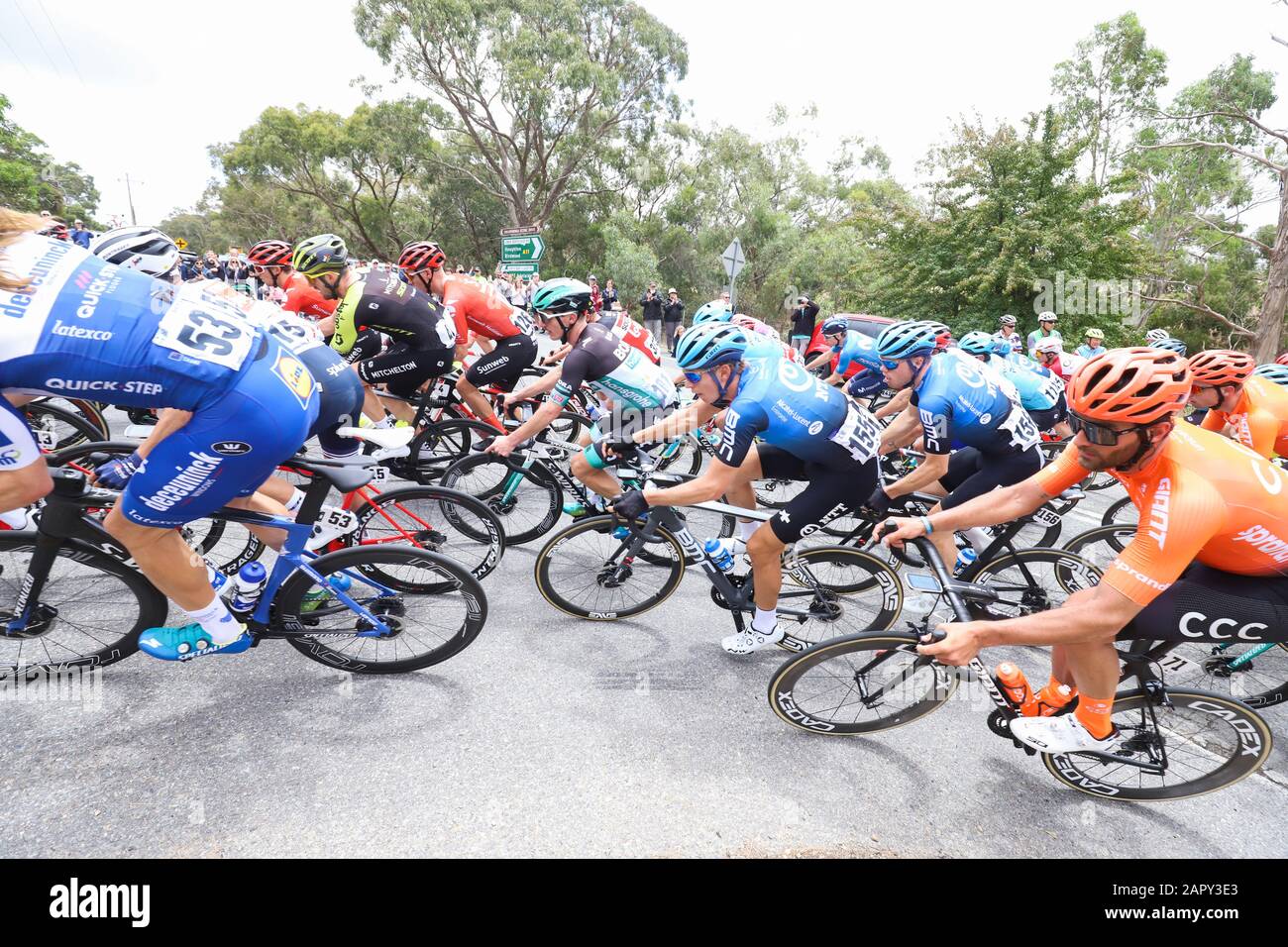 Riders competing on Stage 3 of the 2020 Tour Down Under cycling race