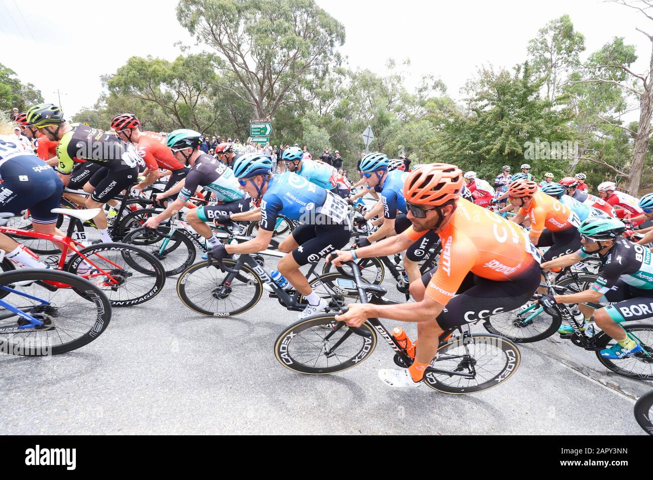 Riders competing on Stage 3 of the 2020 Tour Down Under cycling race