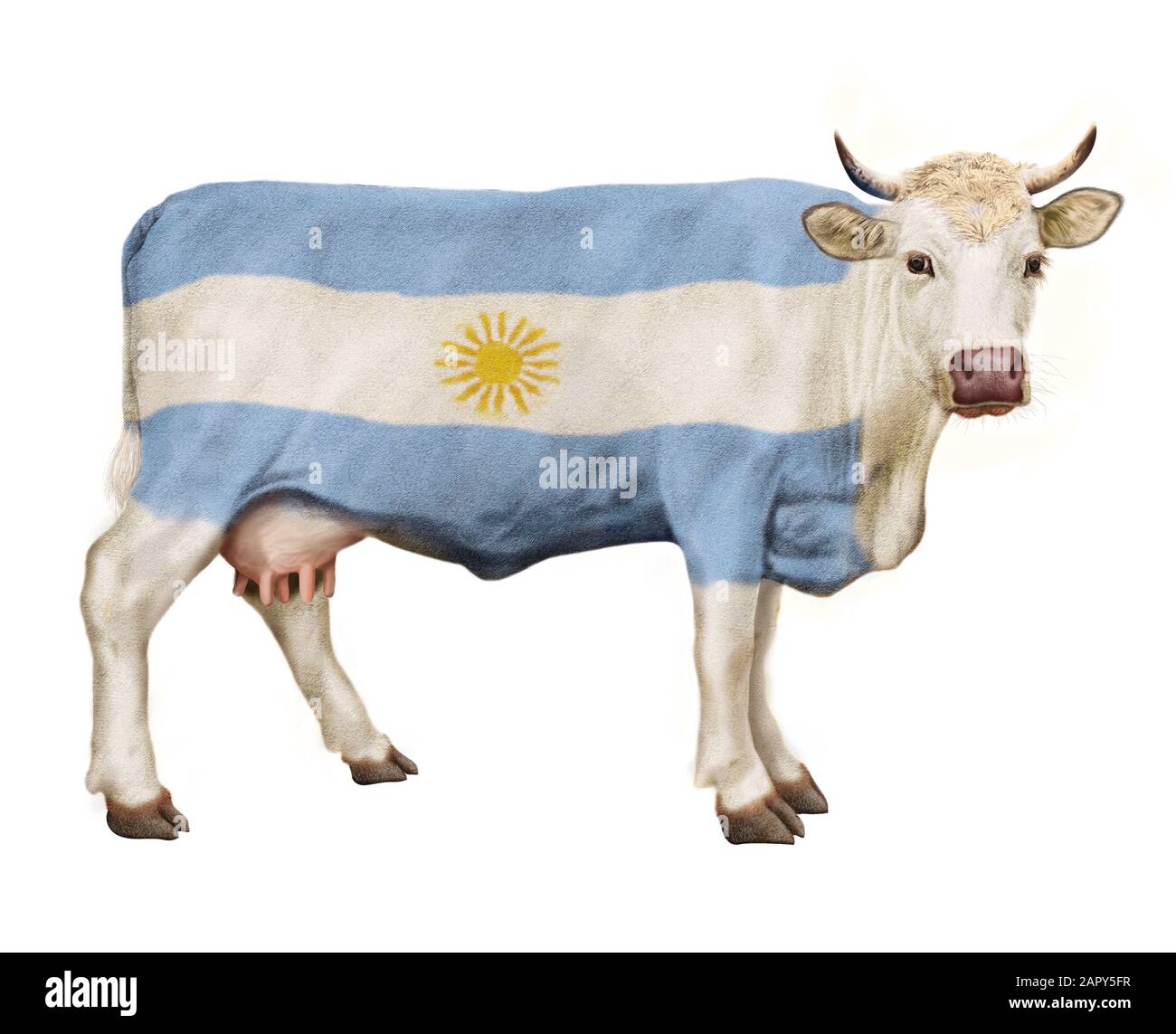 Cow illustration realistic design Stock Photo - Alamy