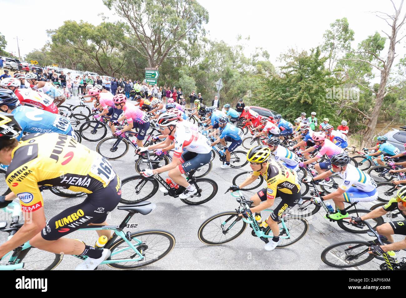 Riders competing on Stage 3 of the 2020 Tour Down Under cycling race near Adelaide Australia Stock Photo