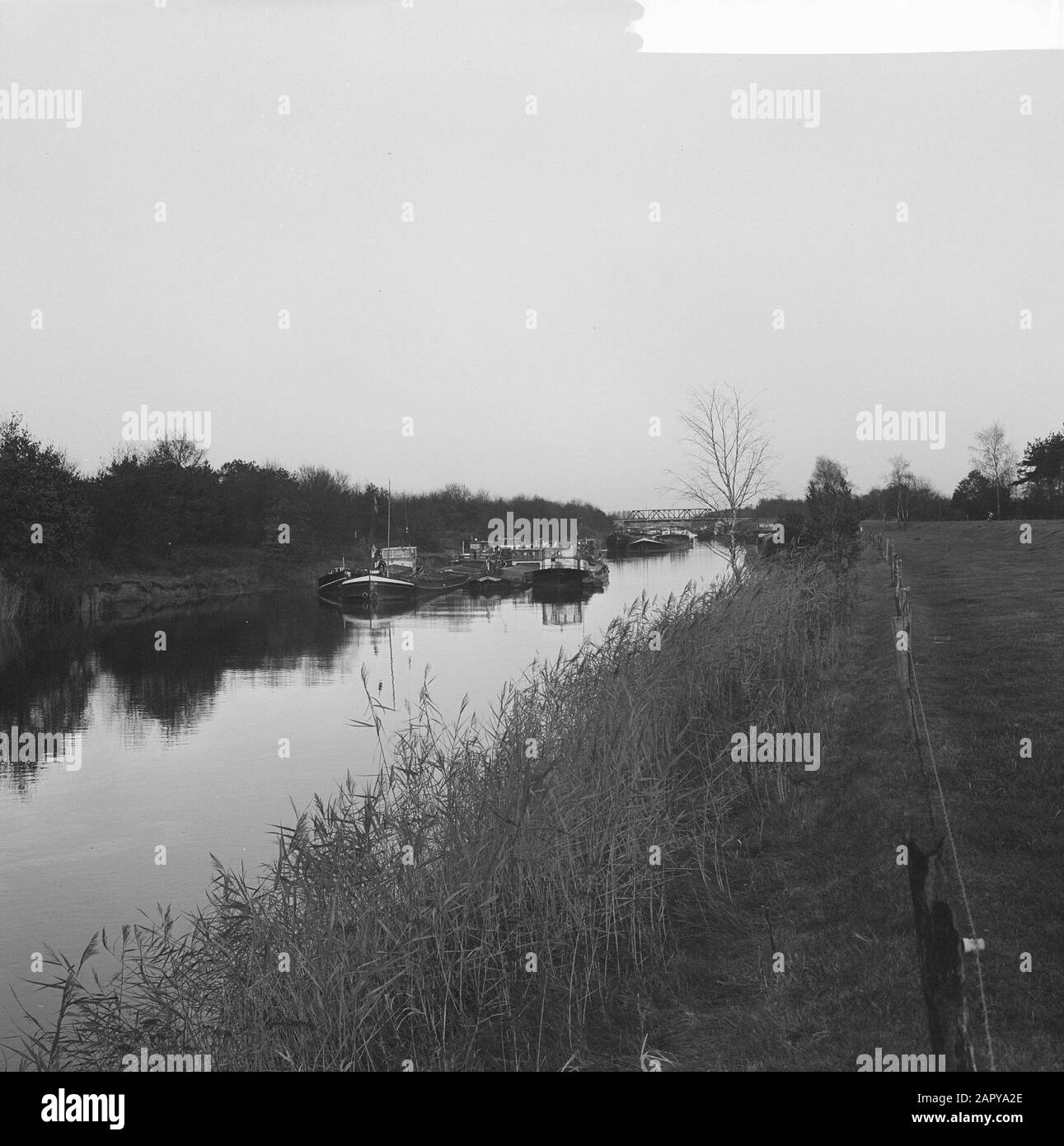 jeanne damas espadrilles