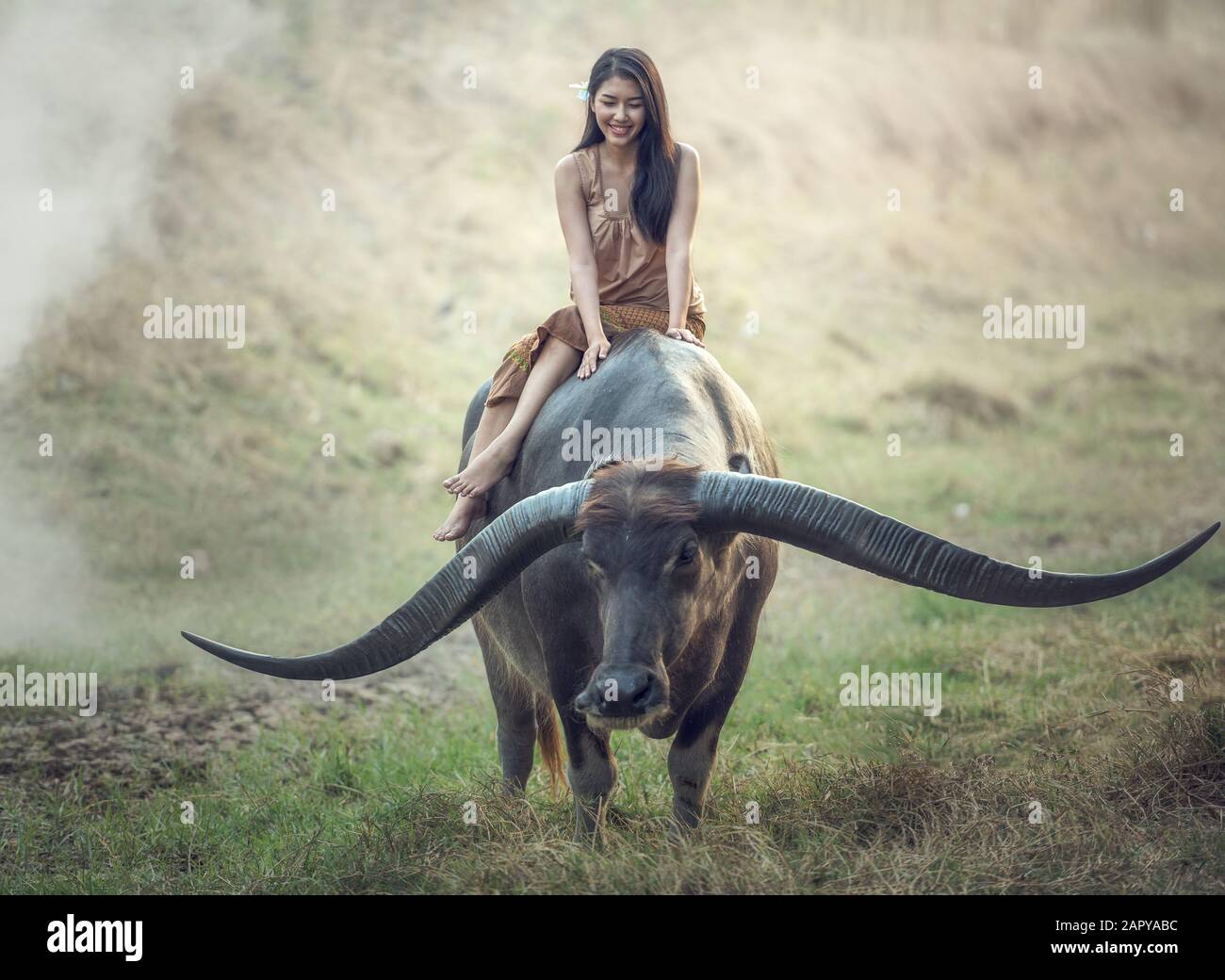 Asian woman (Thai) farmer with a buffalo in the field Stock Photo