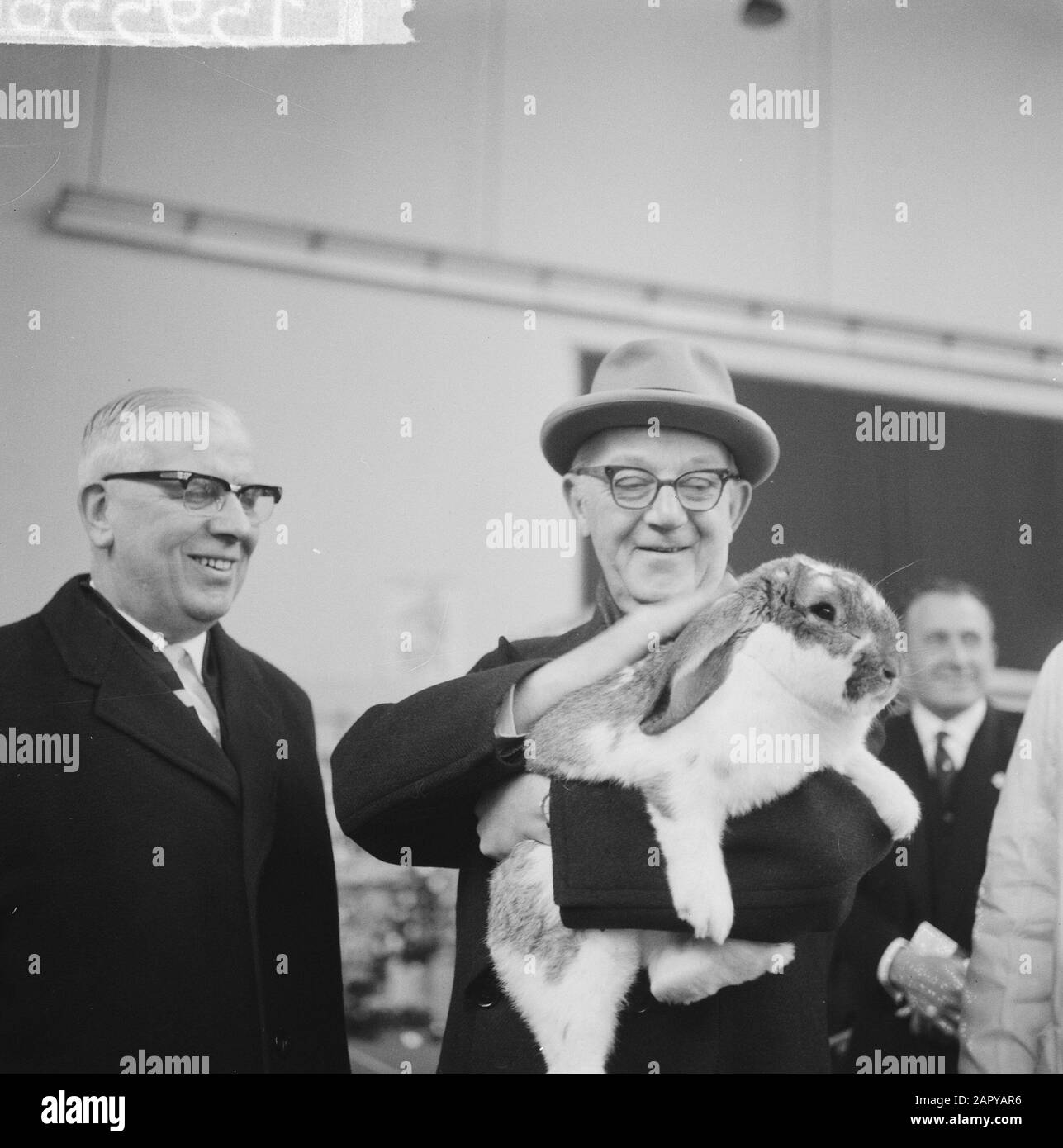 Exhibition Avicultura opened in Houtrusthallen in The Hague, mayor Kolfschoten with one of the sent chickens Date: 17 january 1964 Location: The Hague, Zuid-Holland Keywords: KIPPEN, mayors, exhibitions Personal name: Avicultura, Kolfschoten, Hans Institution name: Wootrusthallen Stock Photo