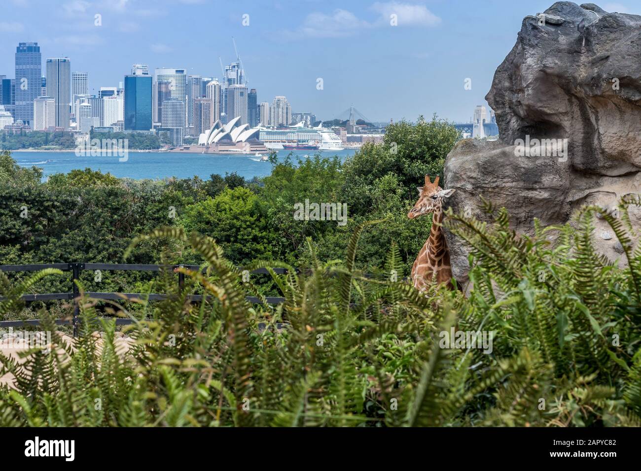 City zoo of sydney hi-res stock photography and images - Alamy
