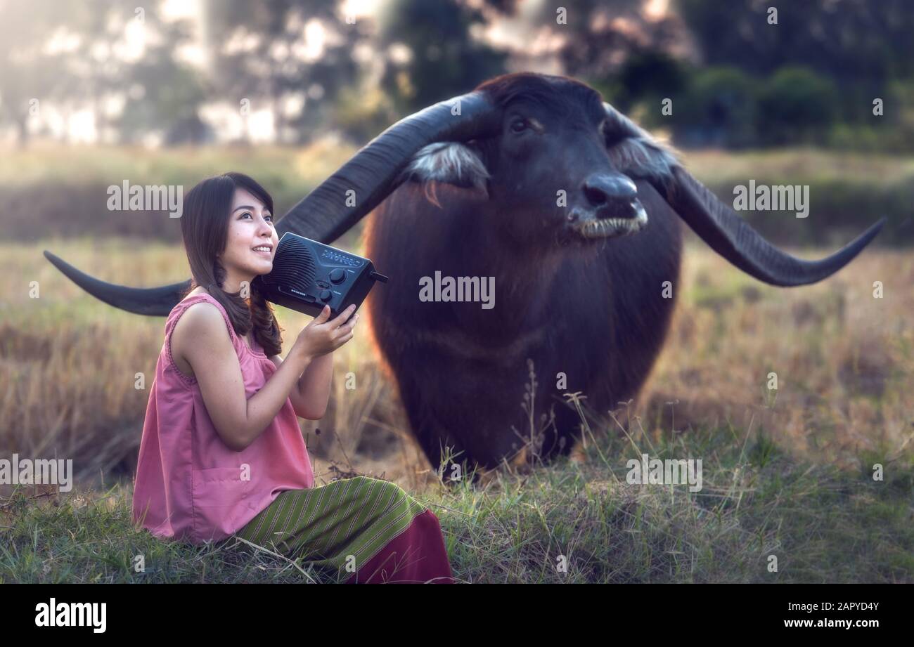 Asian woman listening radio with her buffalo, Thailand Stock Photo