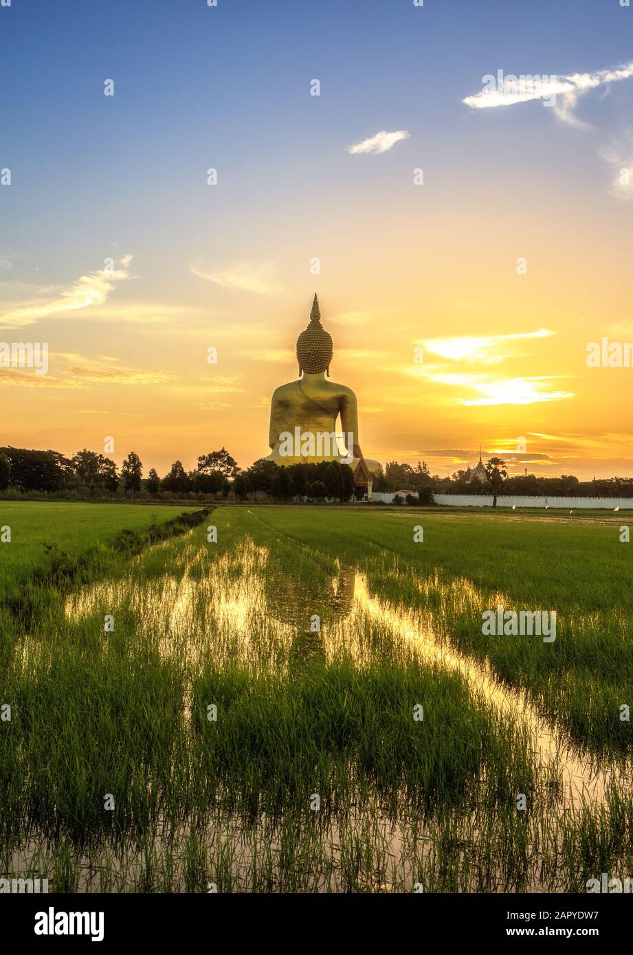 The Biggest Buddha Image In Thailand Under Sunrise Stock Photo - Alamy