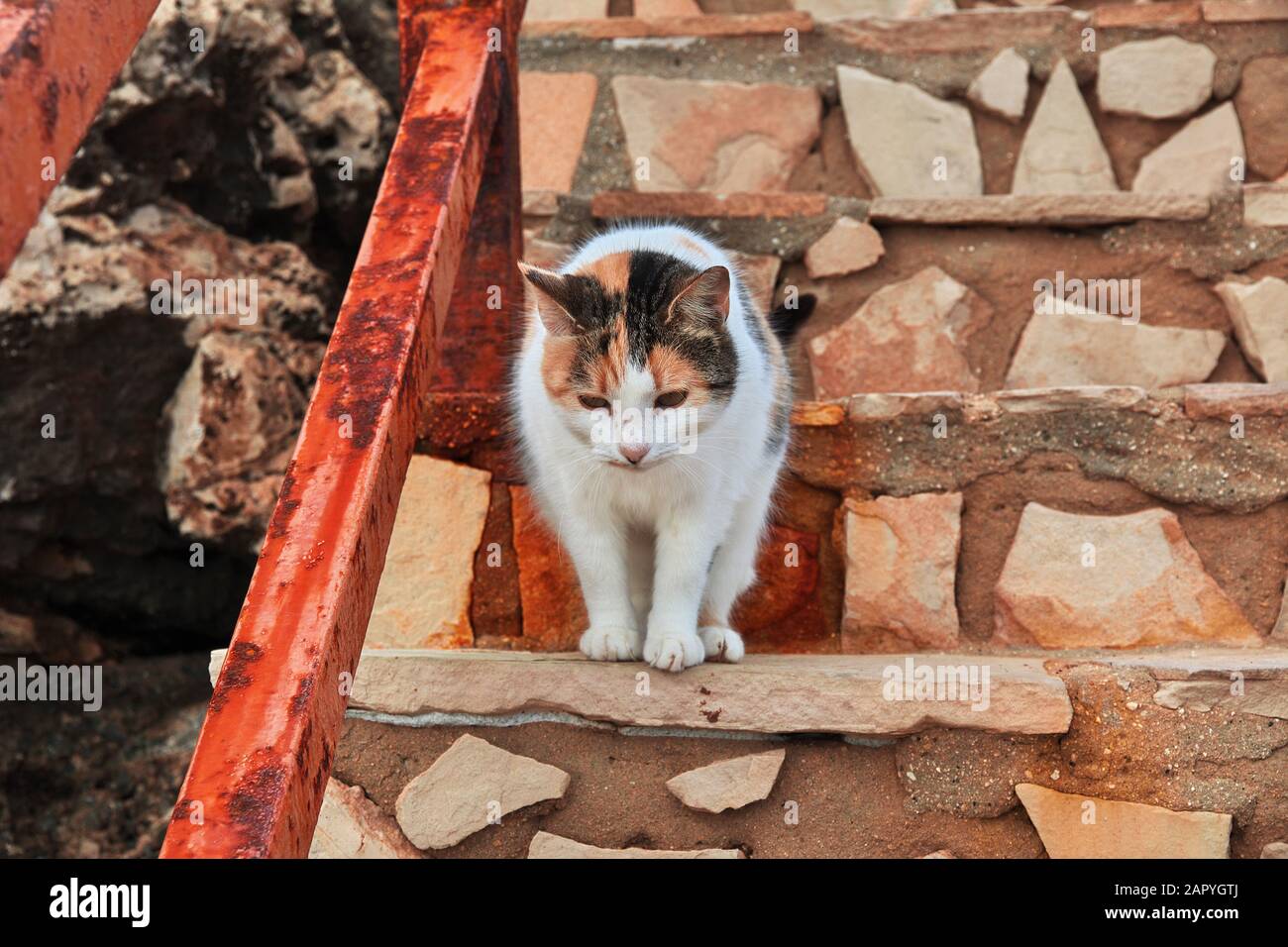 Cape Greco on Cyprus island Stock Photo Alamy