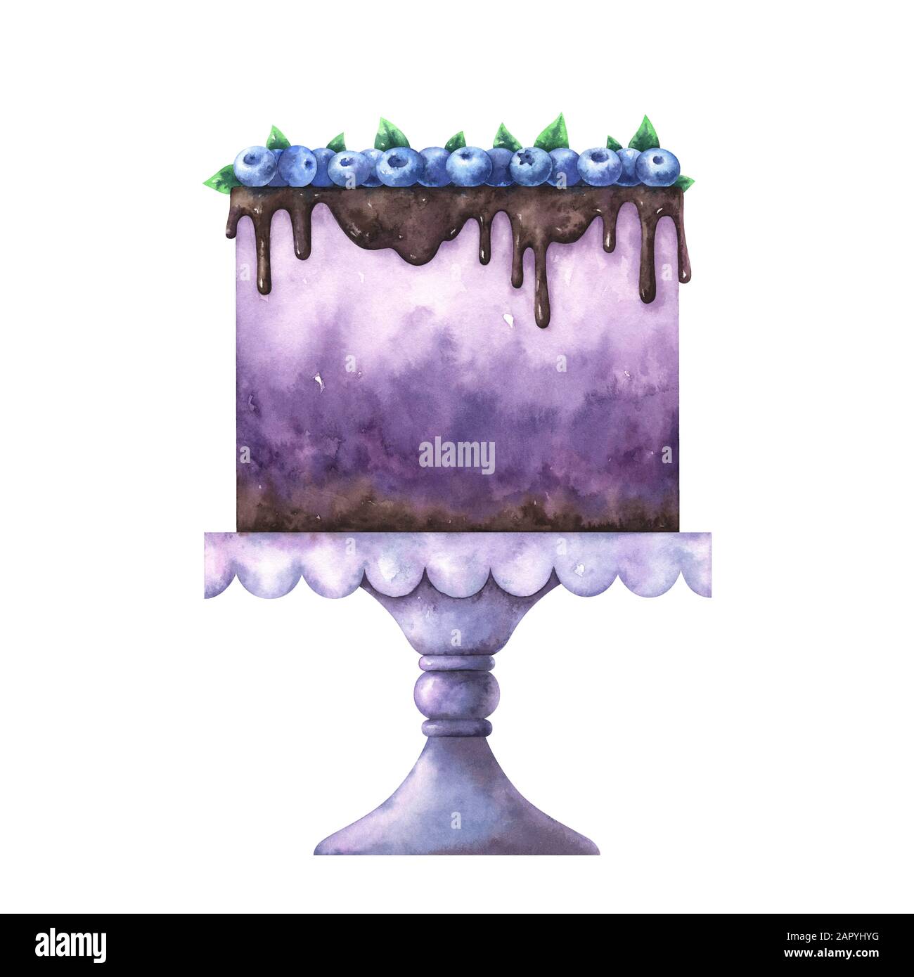 Blue Raspberry Cake Drawing Watercolor illustration of blueberry cake Stock Photo - Alamy