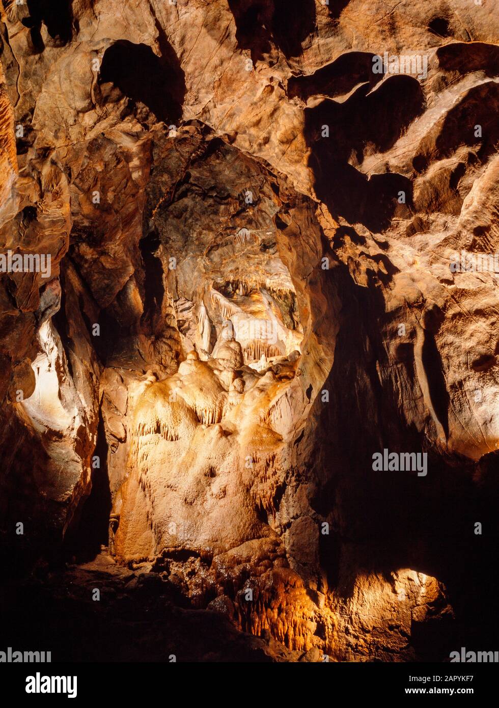 Underground limestone cave formations, Mendip Hills, Somerset, UK. Stalactites growing down, stalagmites are growing up. Stock Photo