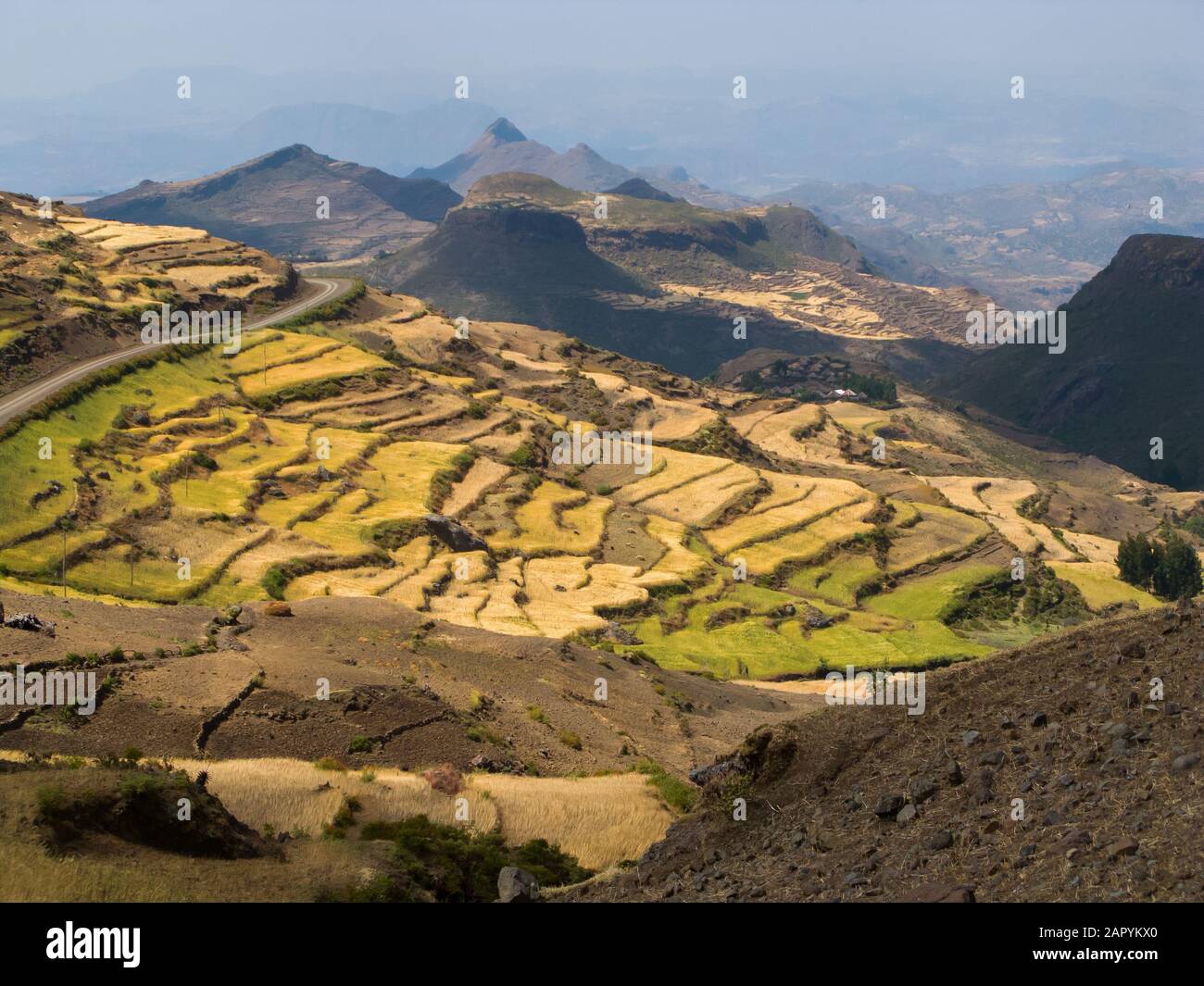 Tigray province hi-res stock photography and images - Alamy