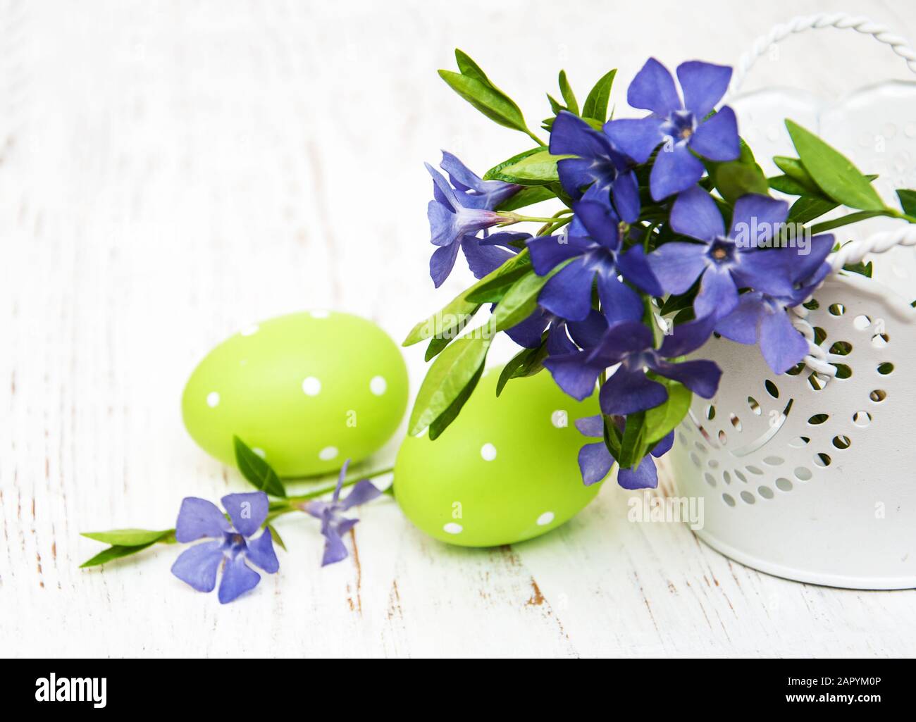 bucket with beautiful blue periwinkle and easter eggs Stock Photo