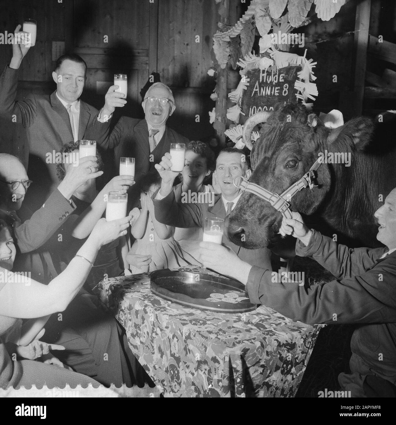 Party at farmer Kover in Oterleek, Annie delivered 100,000st liter of milk Date: February 12, 1960 Keywords: Parties, liters Personal name: Annie Stock Photo