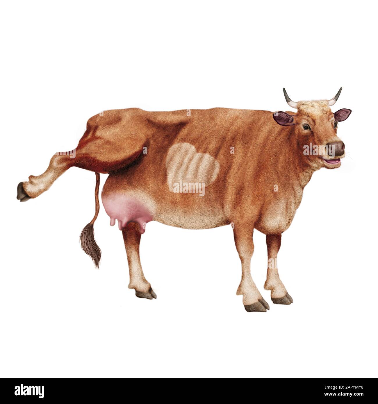 Cow illustration realistic imaginary design Stock Photo - Alamy