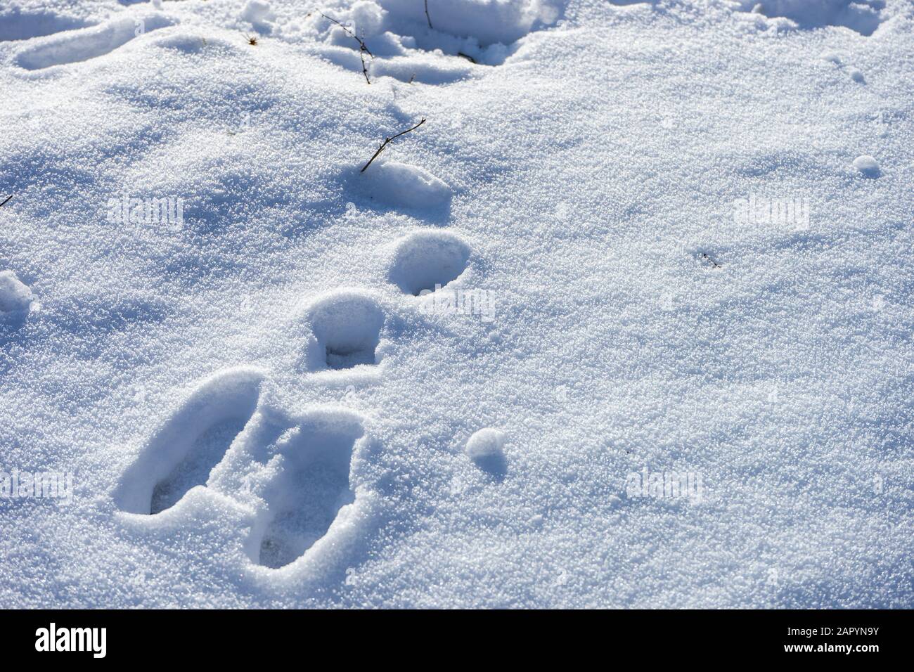 Steps In Snow Winter card concept with steps in snow in sunny day Stock Photo - Alamy