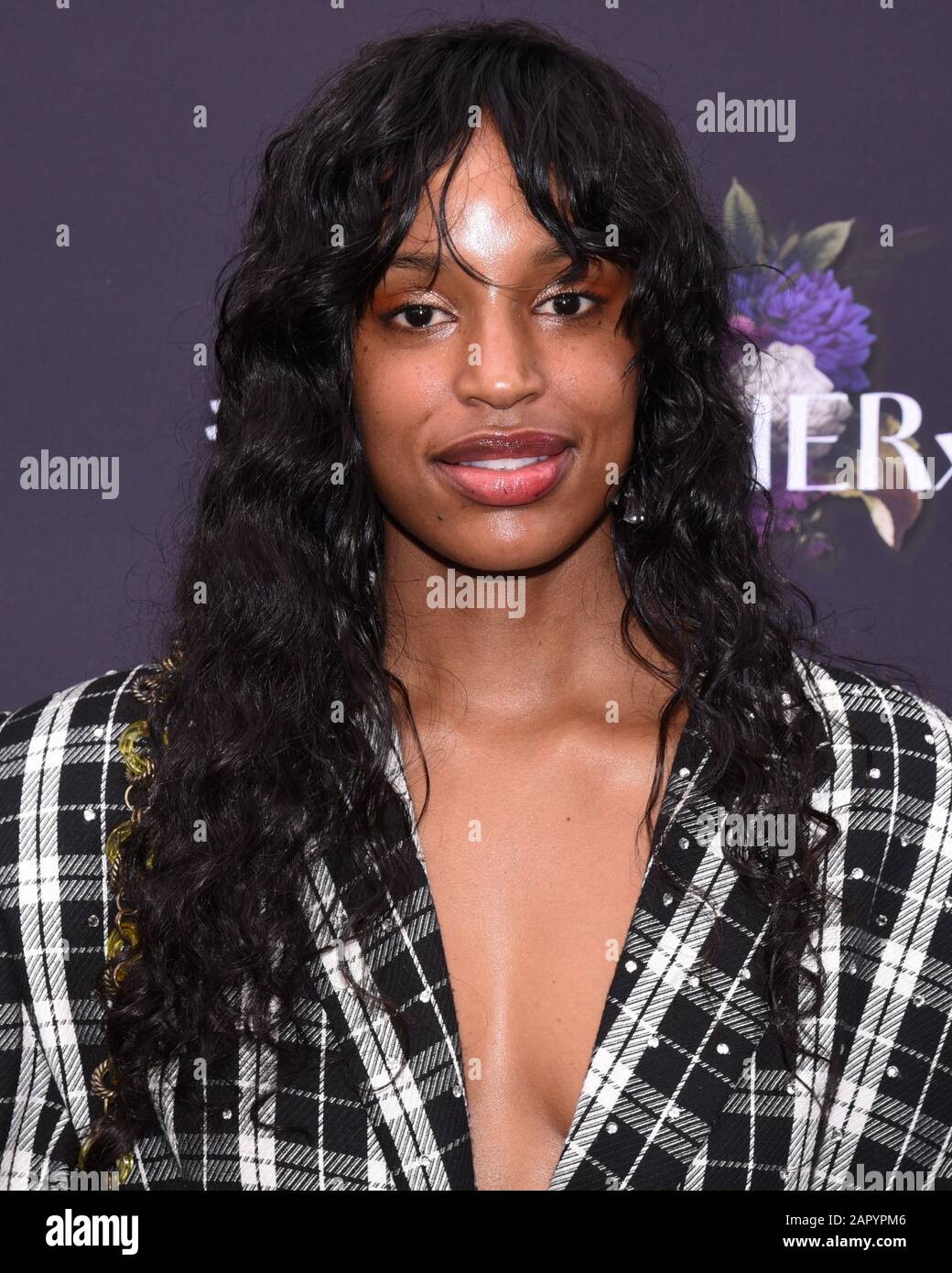 January 24, 2020, West Hollywood, CA, USA: Honey attends the Instagram ...