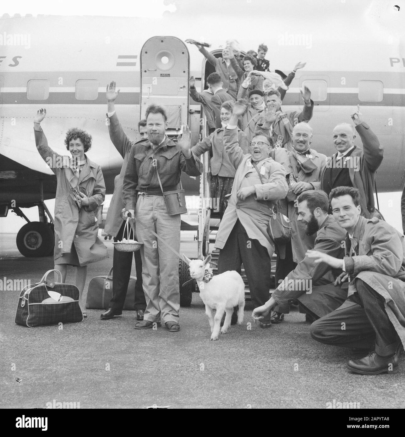 Departure from Schiphol to Israel from Dutch participants A group with the goat for the plane Date: March 12, 1961 Location: Noord-Holland, Schiphol Keywords: participants, departure, aircraft Stock Photo