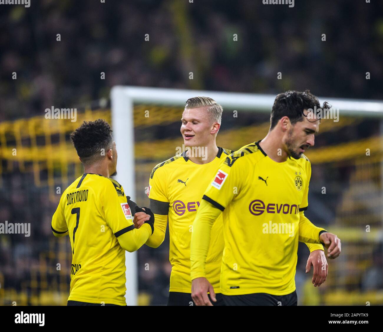 goaljubel after the 4-1: goalschuetze Erling Haaland (Borussia Dortmund),  Jadon Sancho (Borussia Dortmund) and Mats Hummels (Borussia Dortmund). GES/ Fußball/1. Bundesliga: Borussia Dortmund - FC Cologne, 24.01.2020 - Football /Soccer 1st Division ...