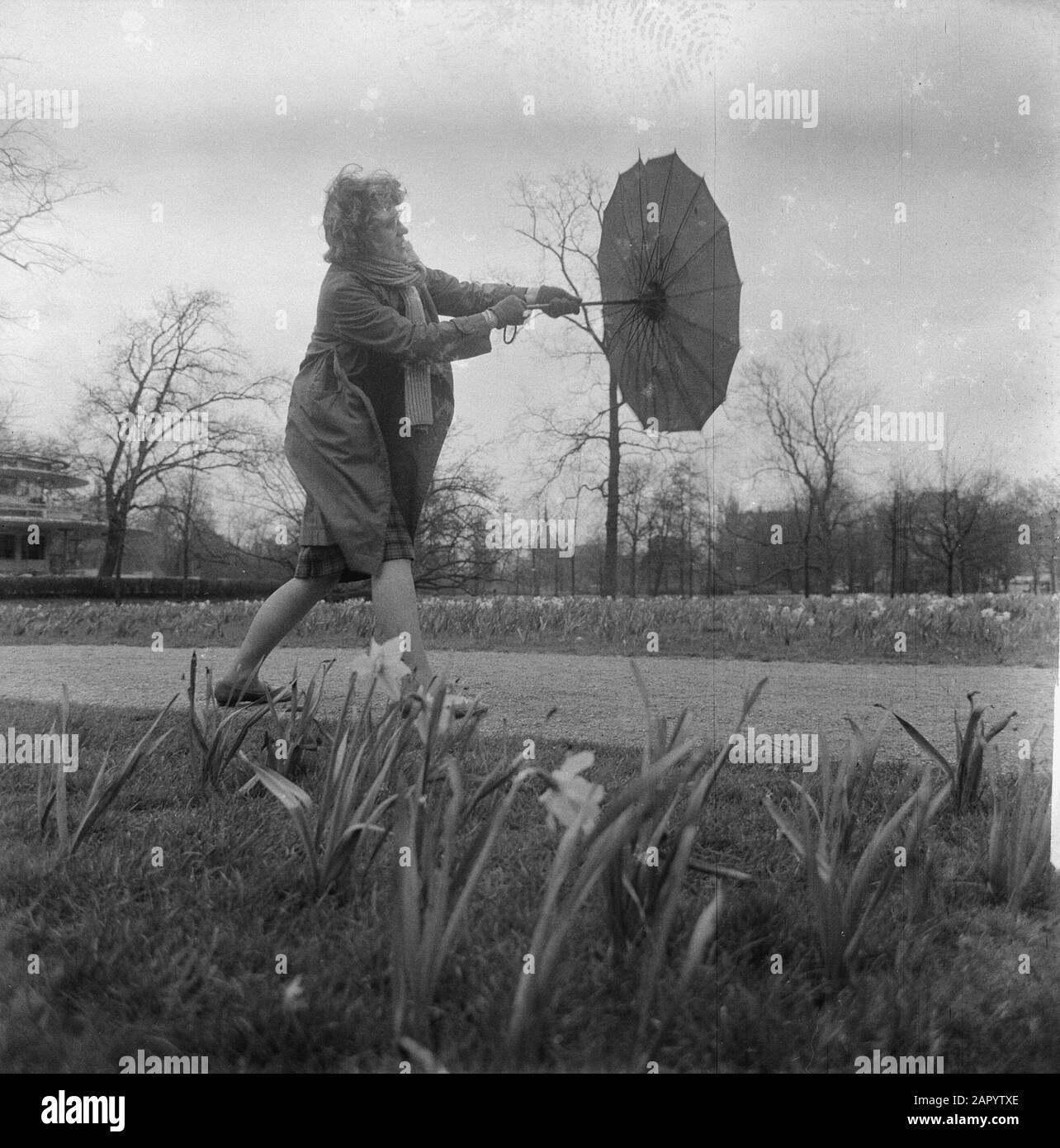 Daylight spring Black and White Stock Photos & Images - Alamy
