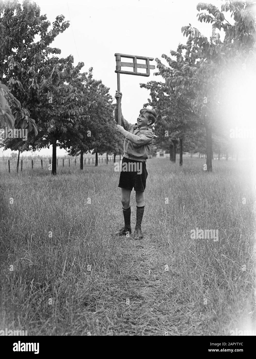 Cherry picking of the Betuwe. Boy with ratel Date: 31 May 1948 Location: Betuwe Keywords: BOYS Stock Photo