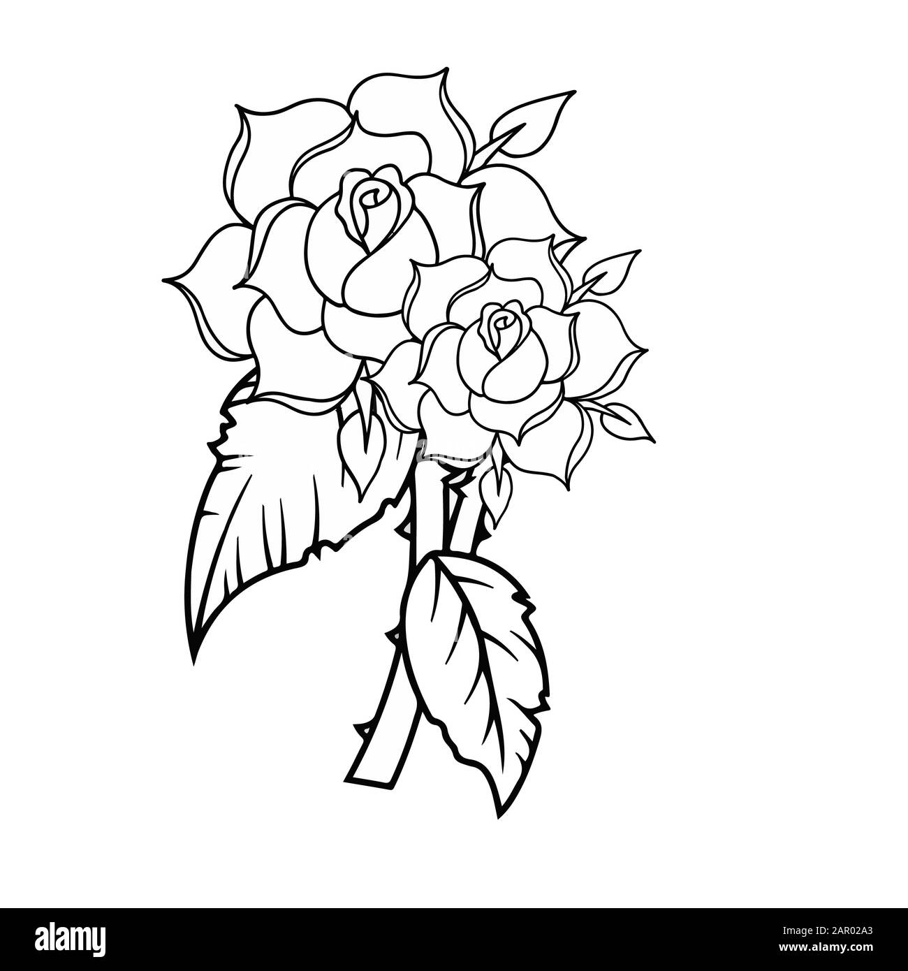 Drawing rose flower tree  artwork outline Stock Photo