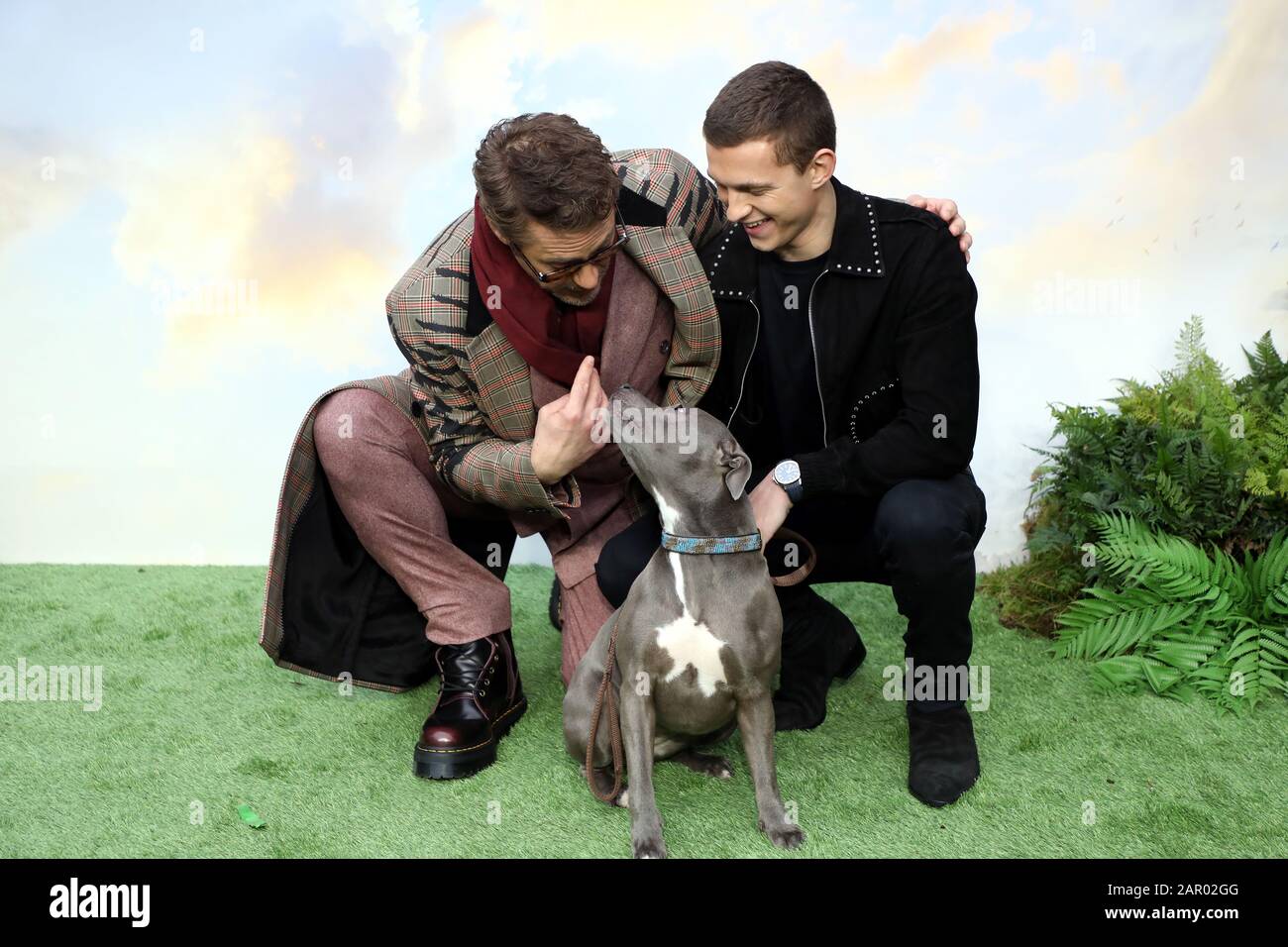 Robert Downey, Jr. (left) Tom Holland and his dog Tessa during Dolittle premiere at Leicester Square, London. Stock Photo