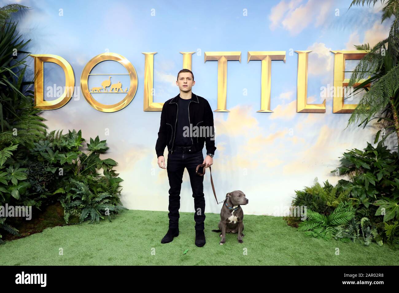 Tom Holland and his dog Tessa during Dolittle premiere at Leicester Square, London. Stock Photo