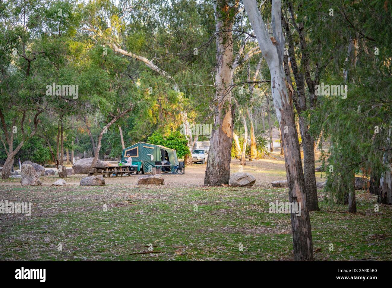 Campers amongst river gums at Lemon Tree Flat campground Kwiambal National Park NSW Stock Photo