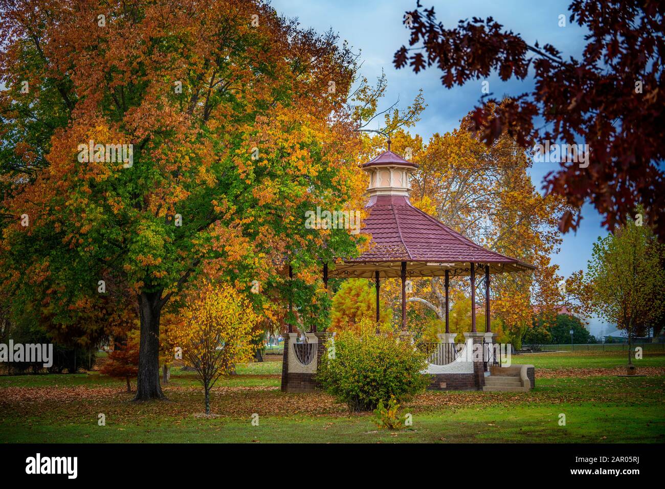 Rotunda and changing autumn leaves in Anzac Park Glen Innes NSW Stock Photo