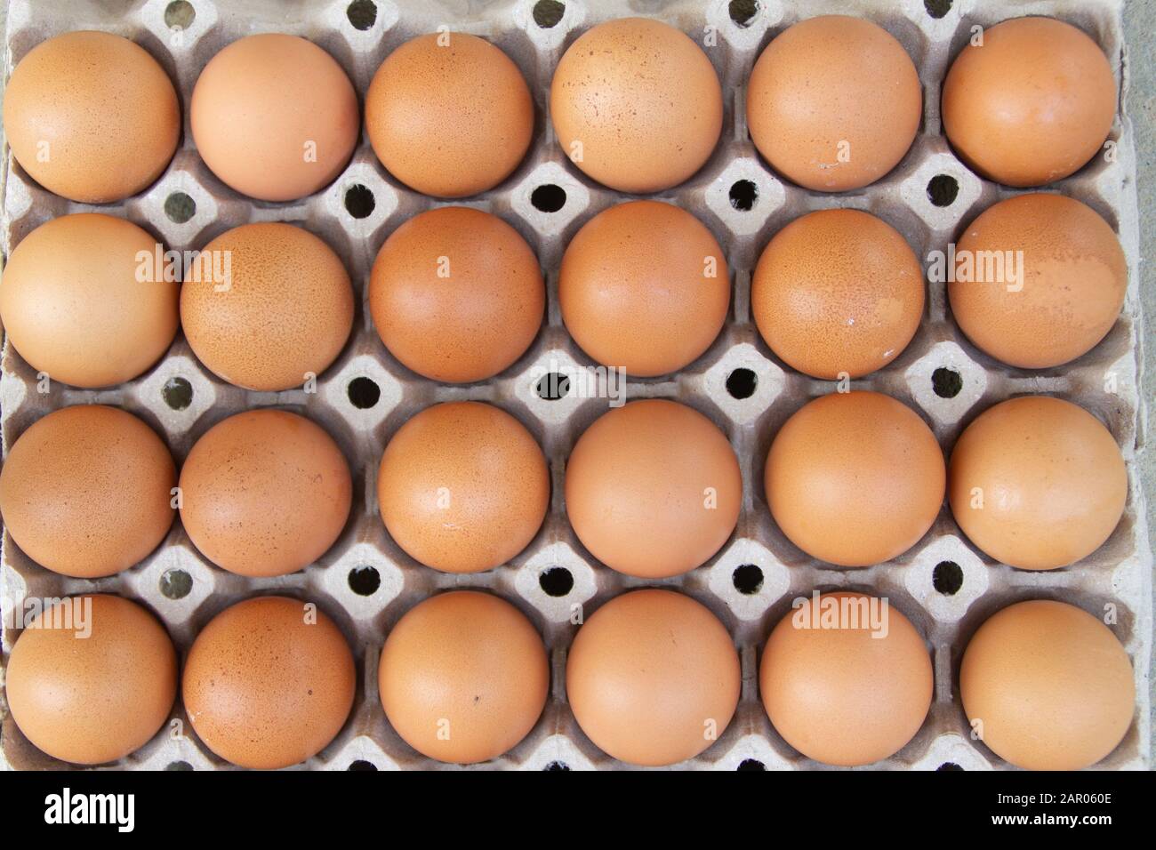 Fresh rural brown eggs packed into a cardboard container Stock Photo