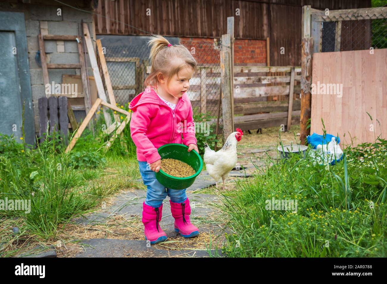 little girl feeding chickens in front of farm Stock Photo