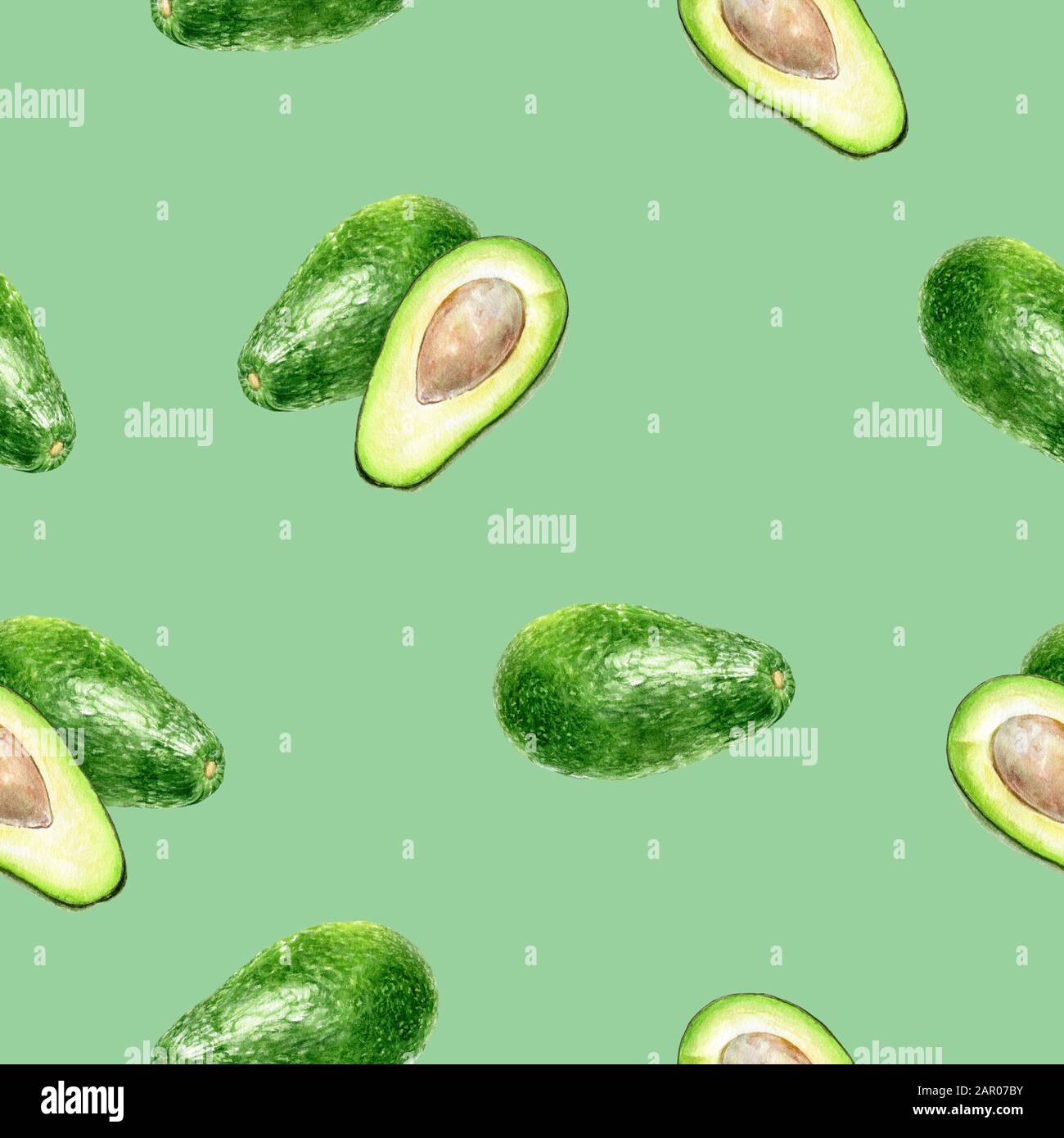 Avocado botanical illustration hi-res stock photography and images - Alamy