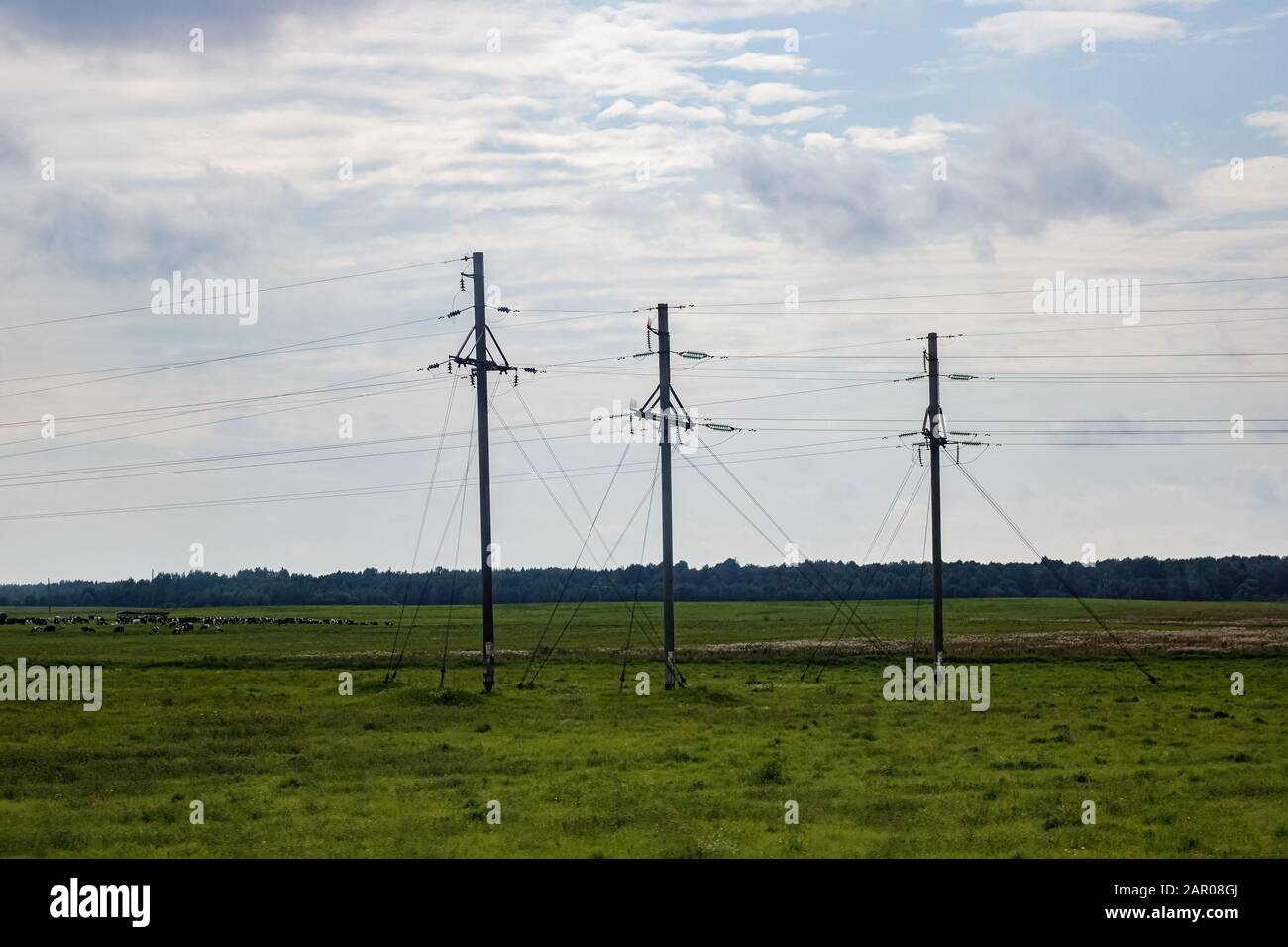 Electricity poles in a green field in summer Stock Photo - Alamy