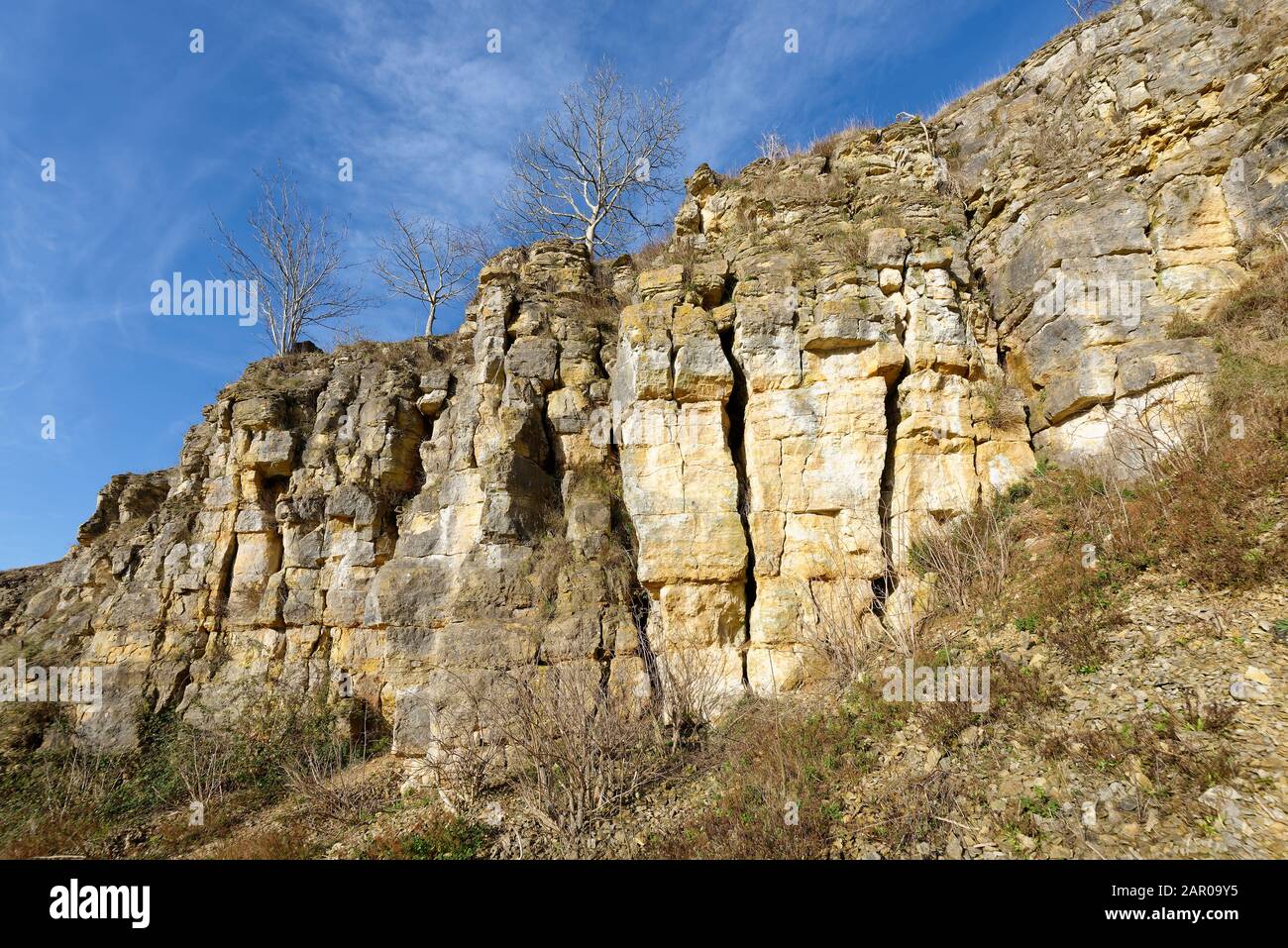 Jurassic Inferior Oolite Limestone Cliff at Salterley (or Wagon) Quarry, Leckhampton Hill, Cheltenham, Gloucestershire Stock Photo