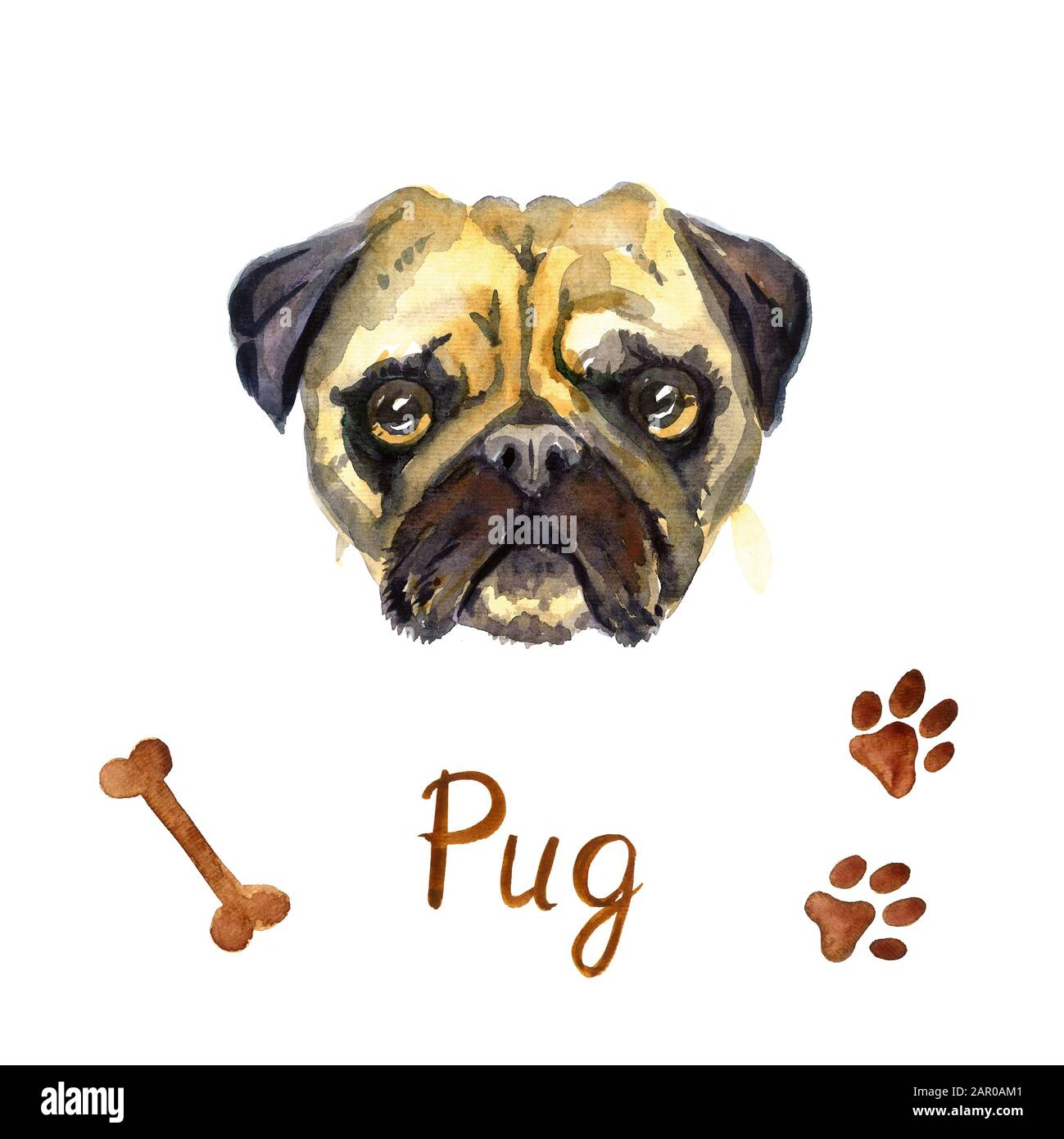 Pug Face High Resolution Stock Photography and Images - Alamy