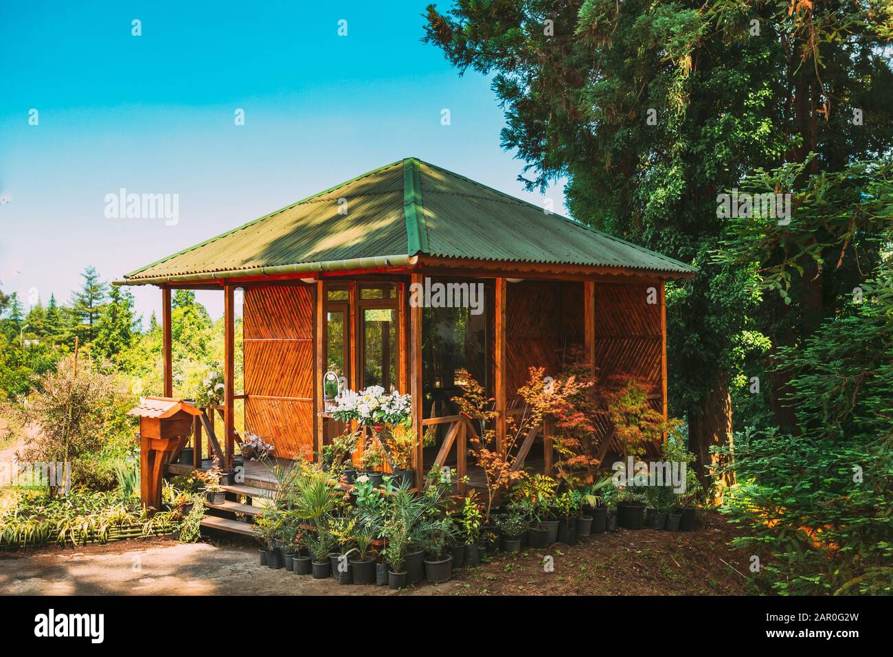 Wooden Shed House Store With Seedlings And Flowers Beds In Sunny Spring